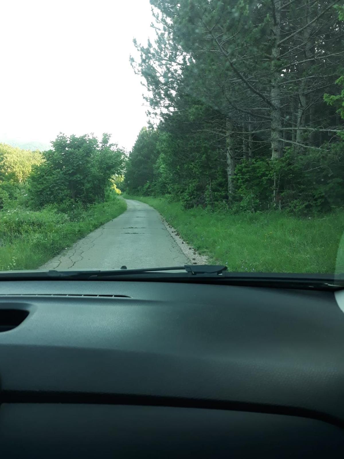 Photo 34