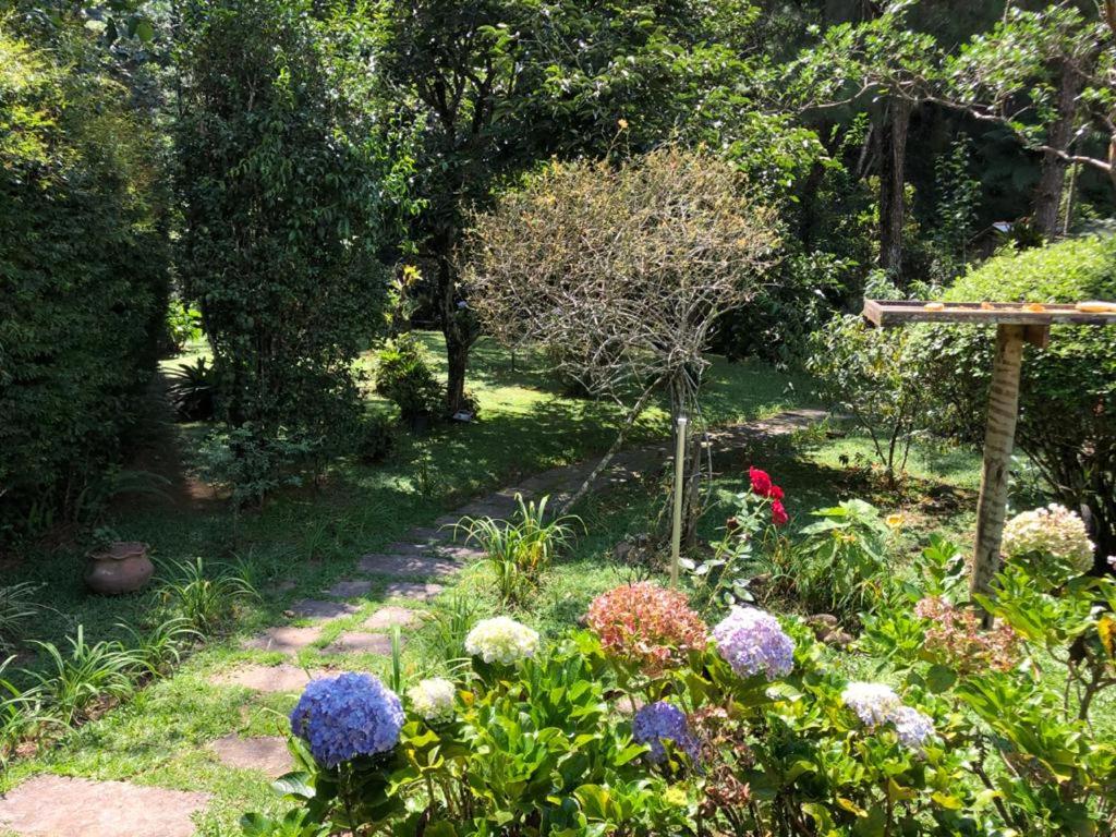 SITIO SIMPLESMENTE DEMAIS