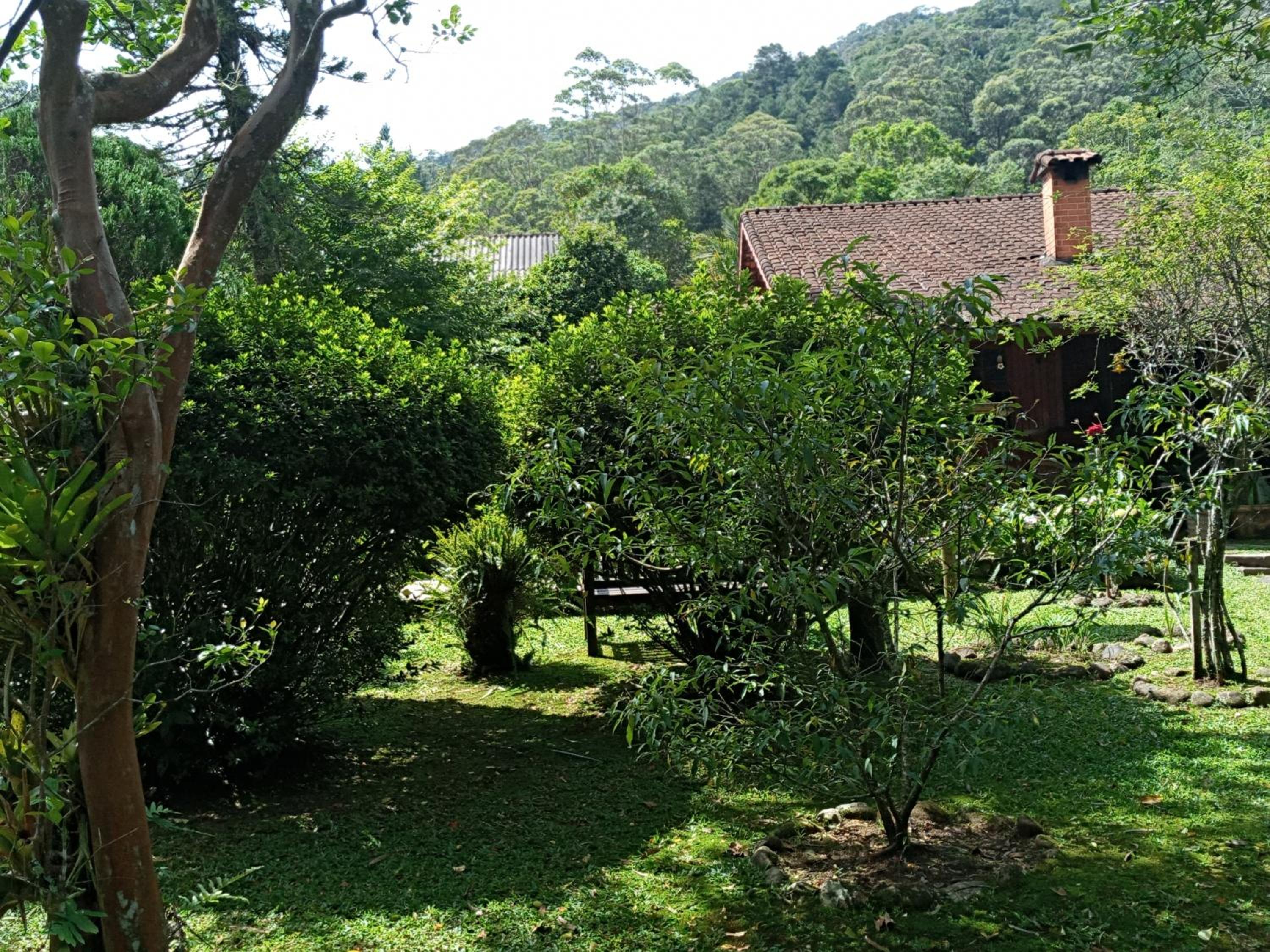 SITIO SIMPLESMENTE DEMAIS