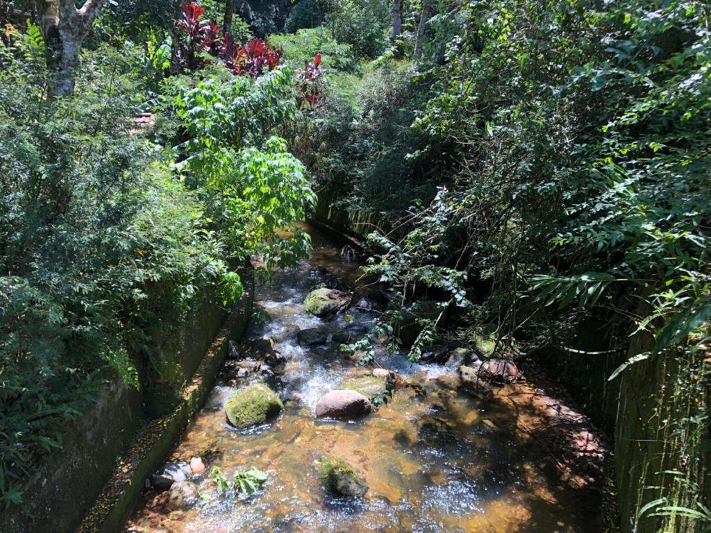 SITIO SIMPLESMENTE DEMAIS