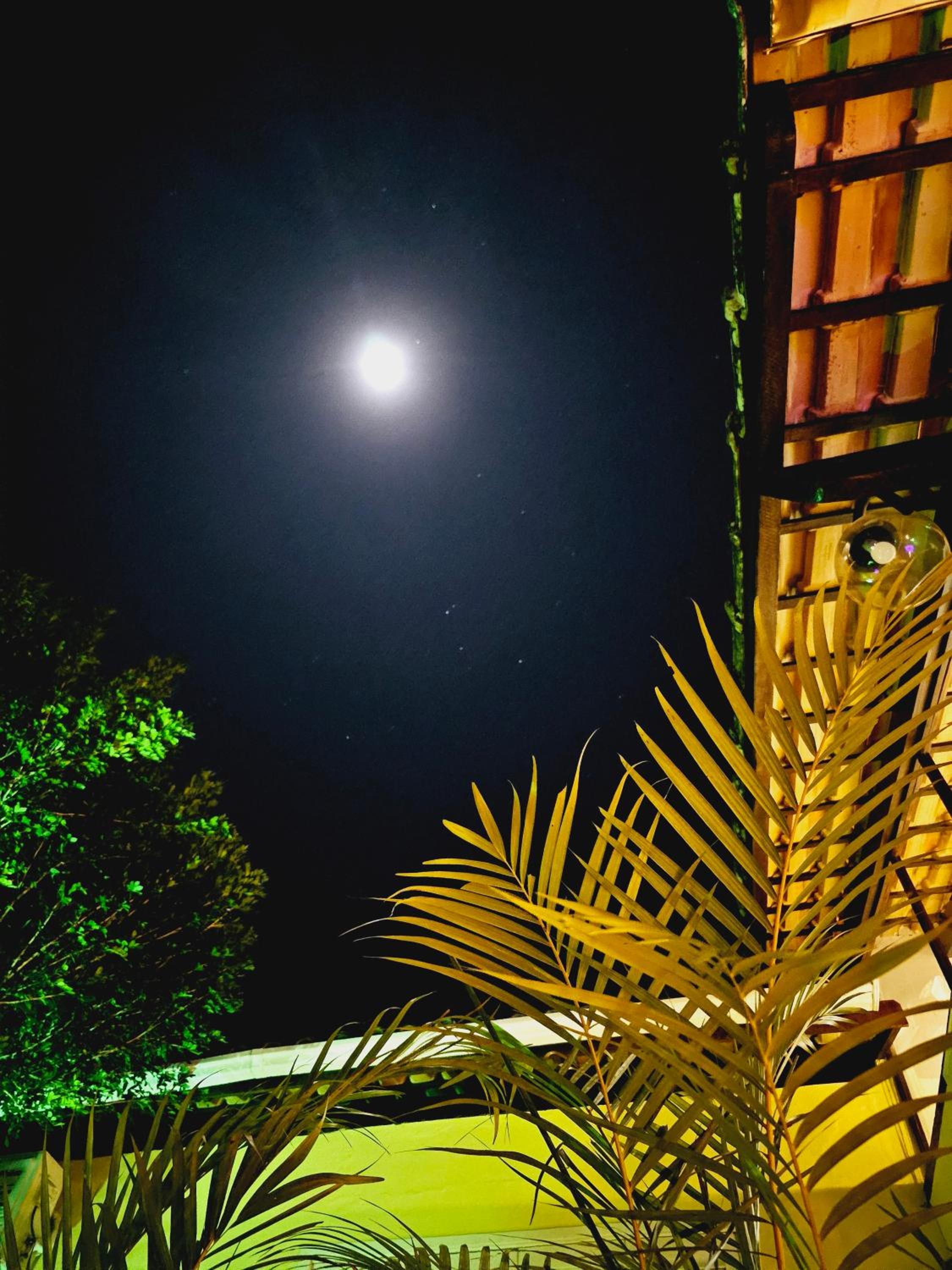 Casa Amarela
