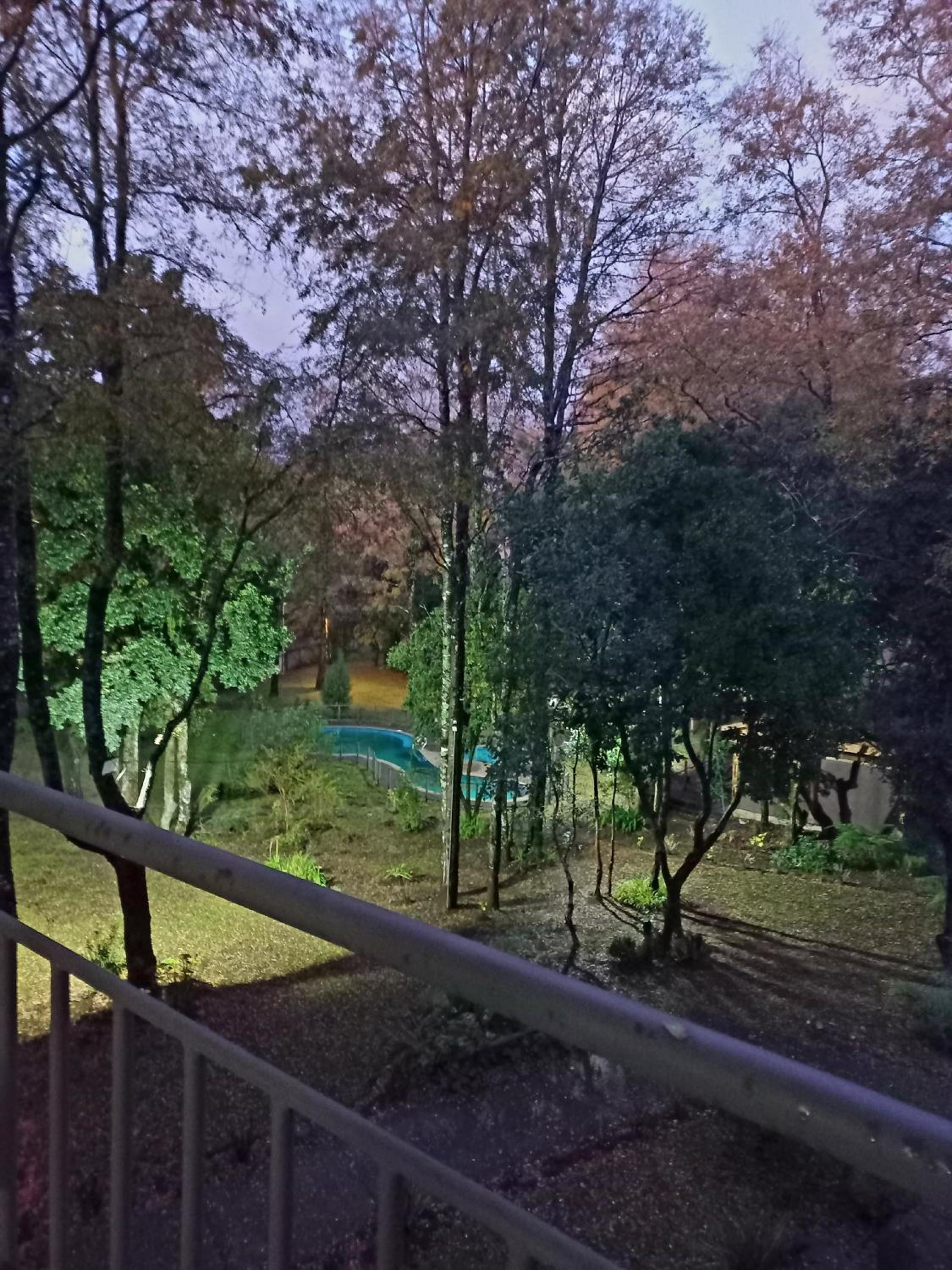 Parque suizo, Pucon