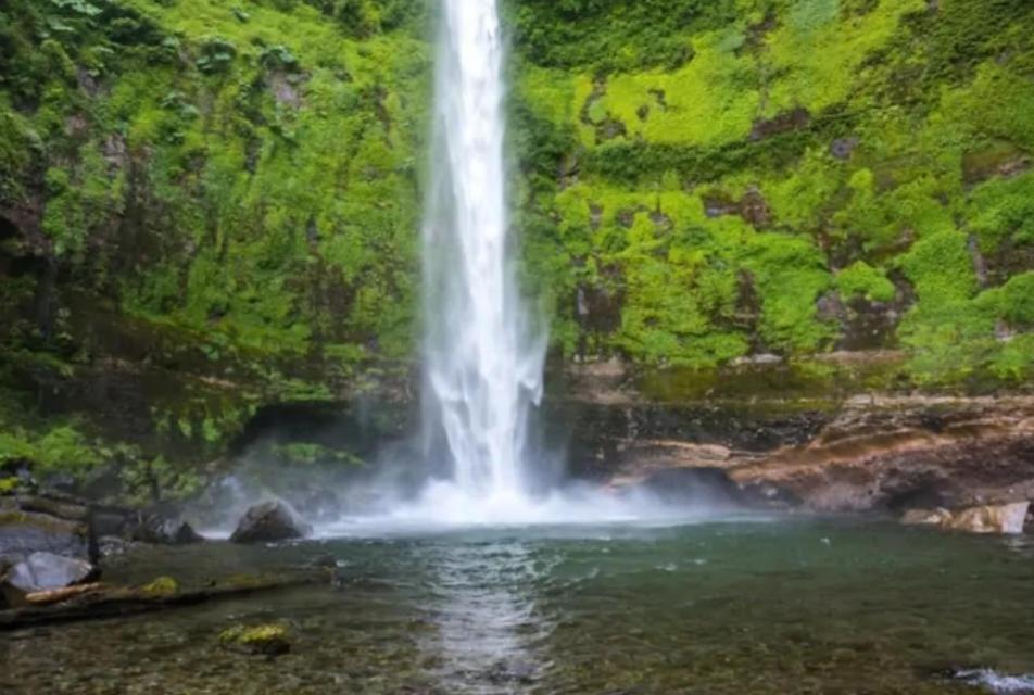 Parque suizo, Pucon