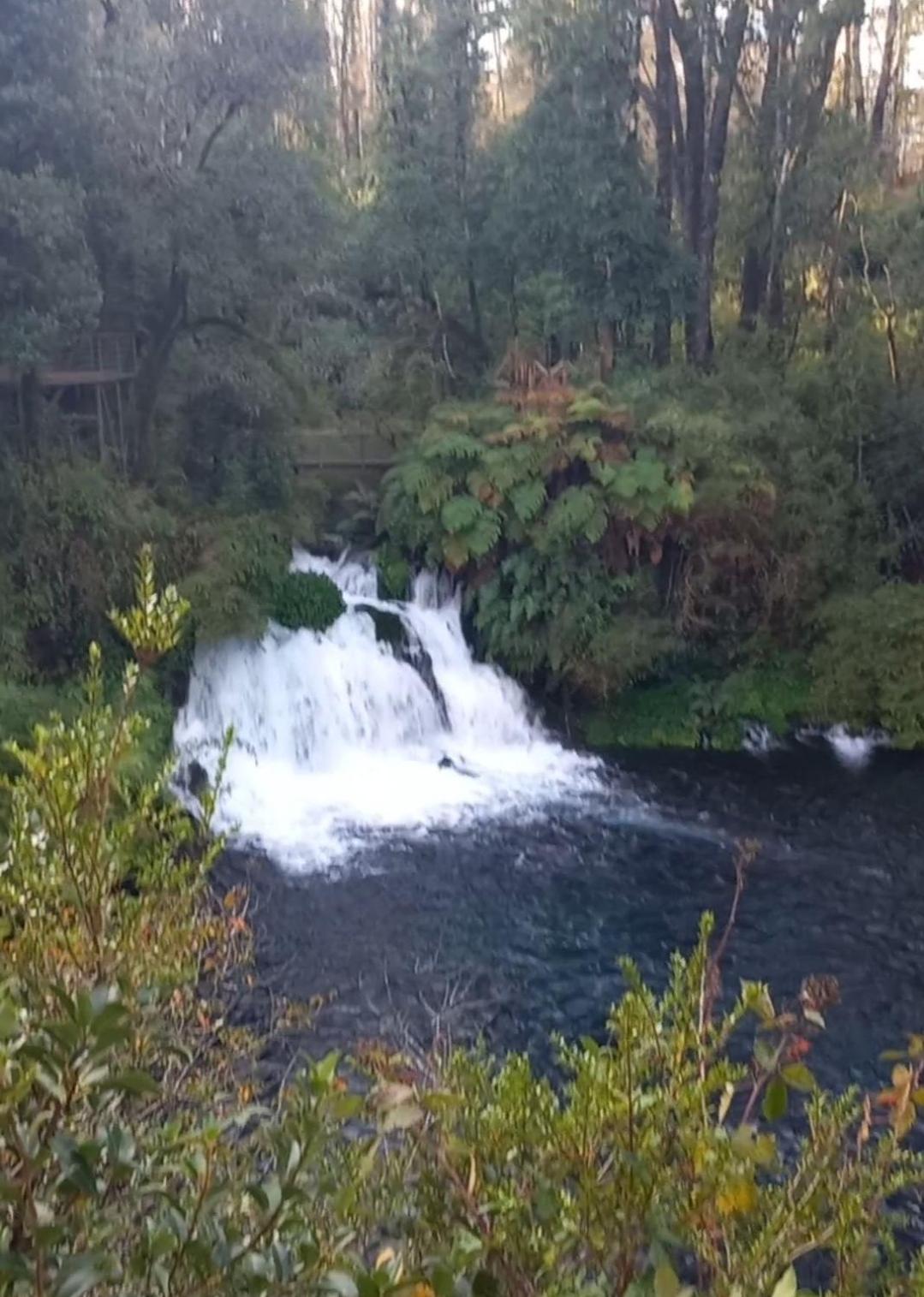 Parque suizo, Pucon