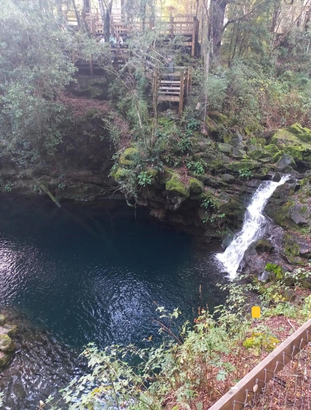 Parque suizo, Pucon