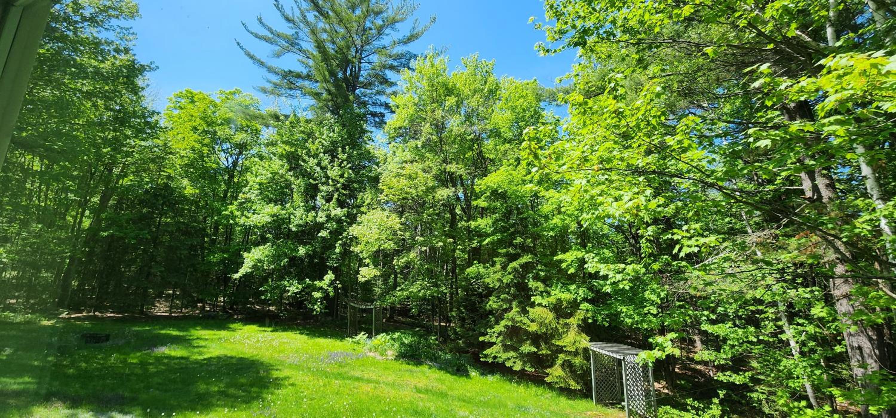 Private 5 BR Muskoka Cottage Firepit+BBQ+Wi-Fi