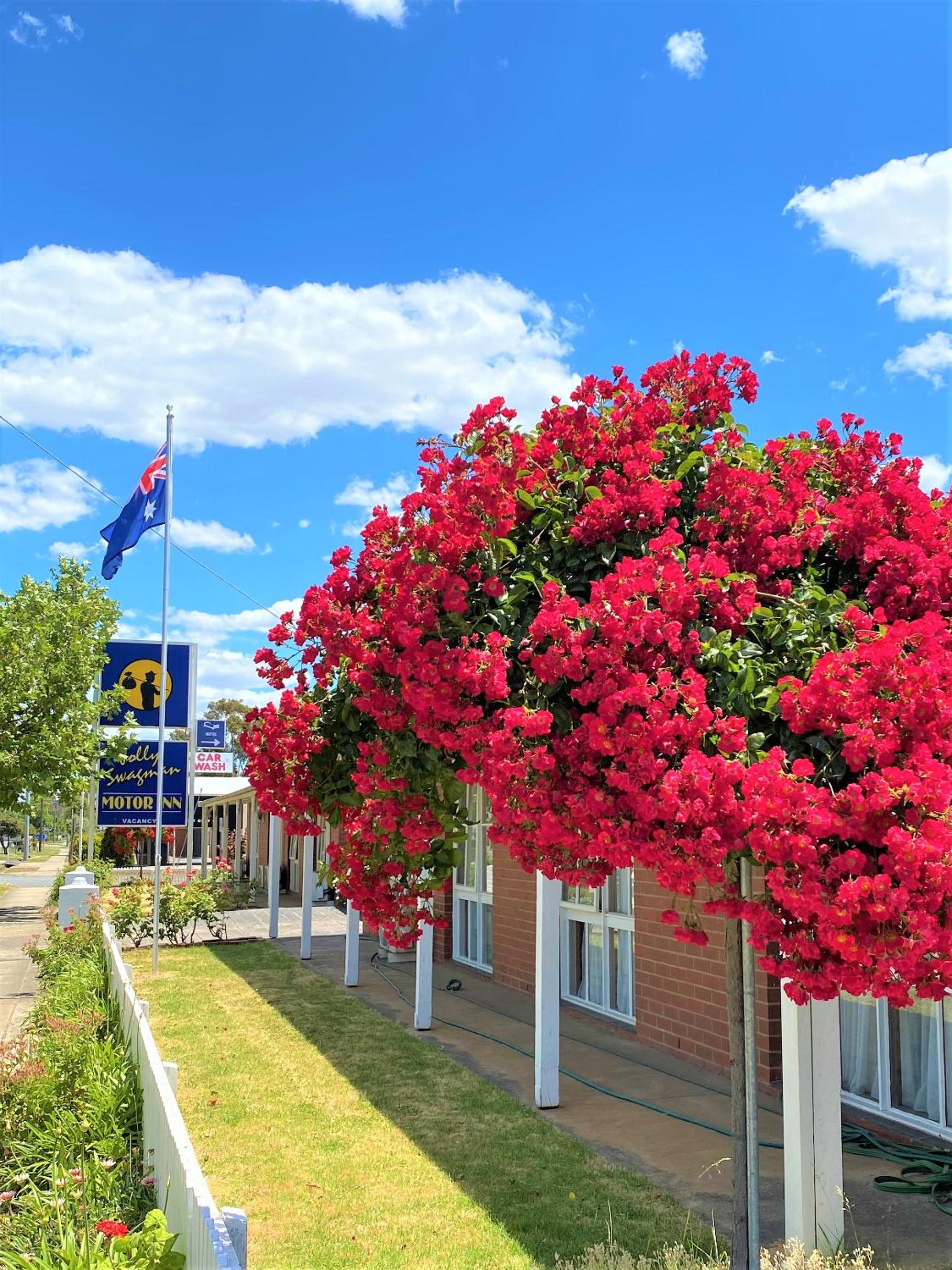 Jolly Swagman Motor Inn Euroa