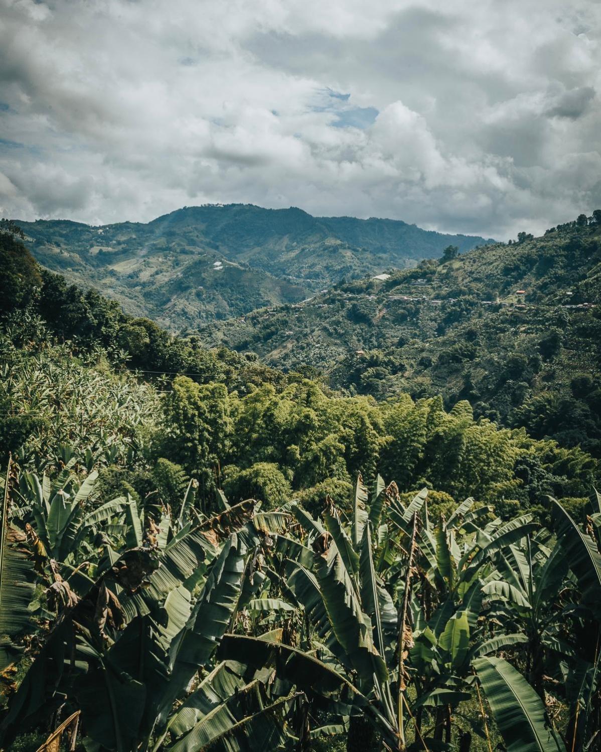 Chamí Glamping