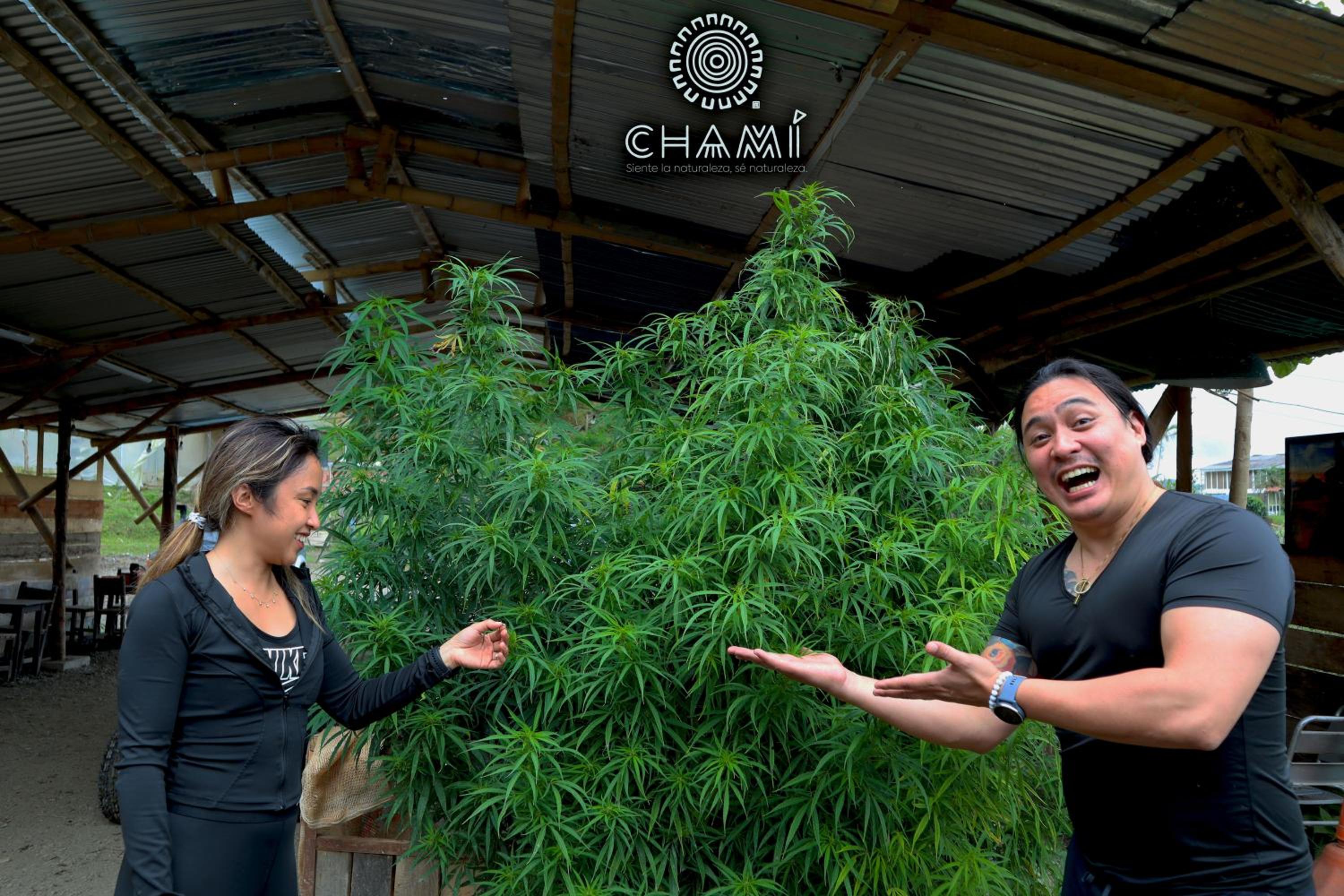 Chamí Glamping