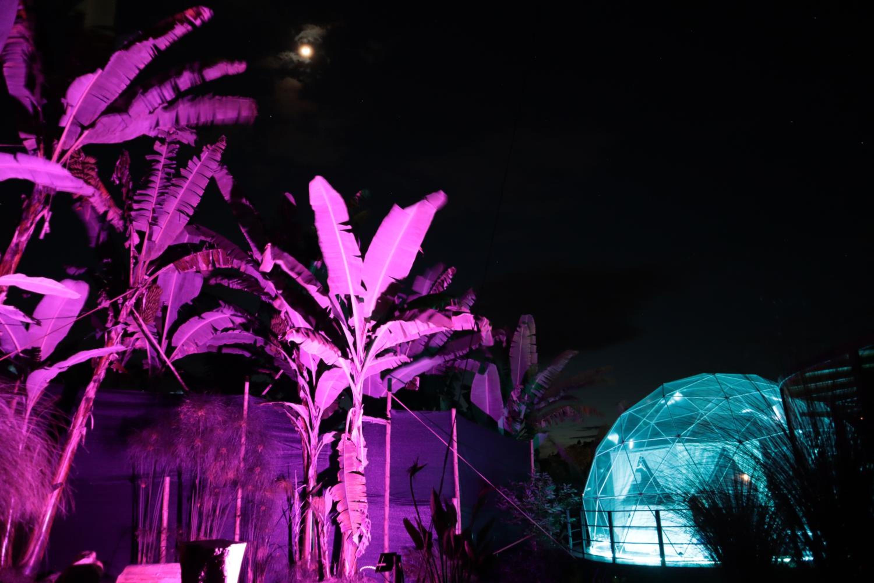 Chamí Glamping