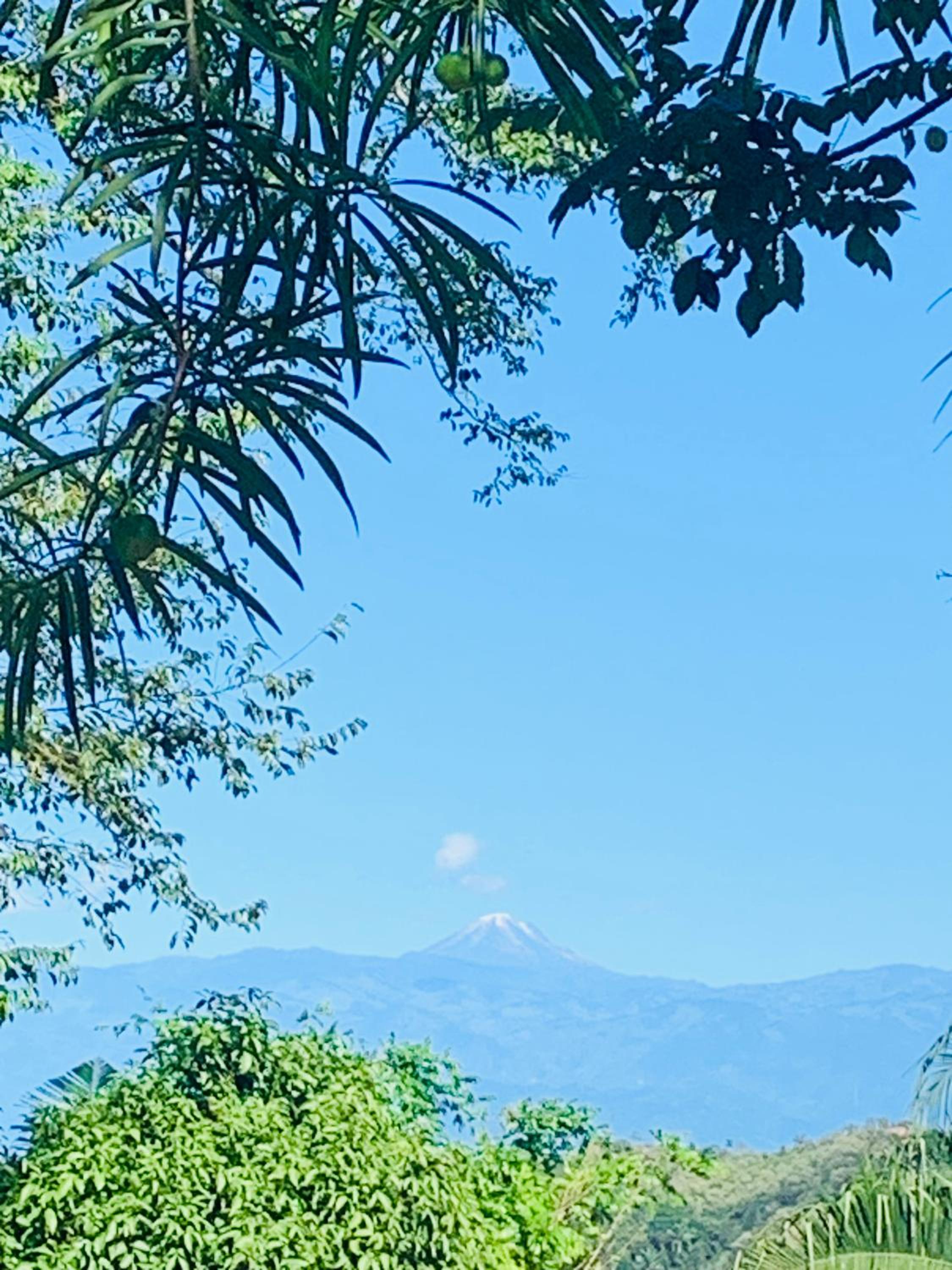 Finca Peñitas