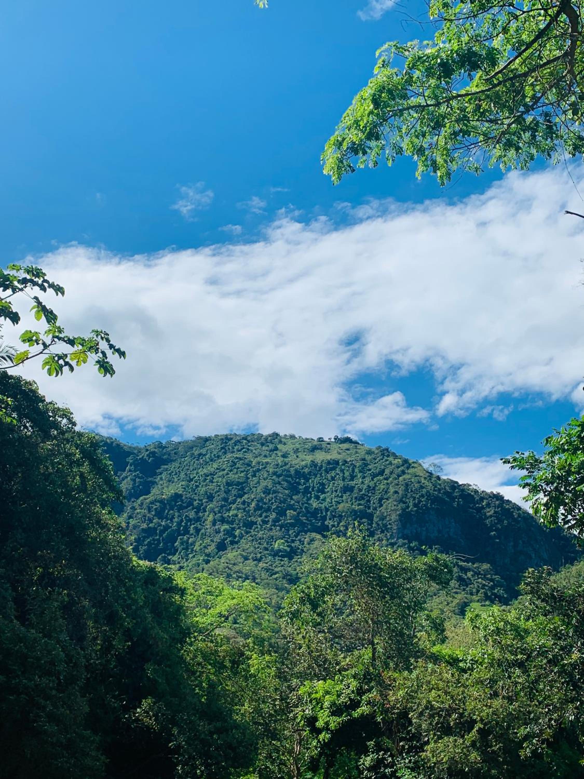 Finca Peñitas