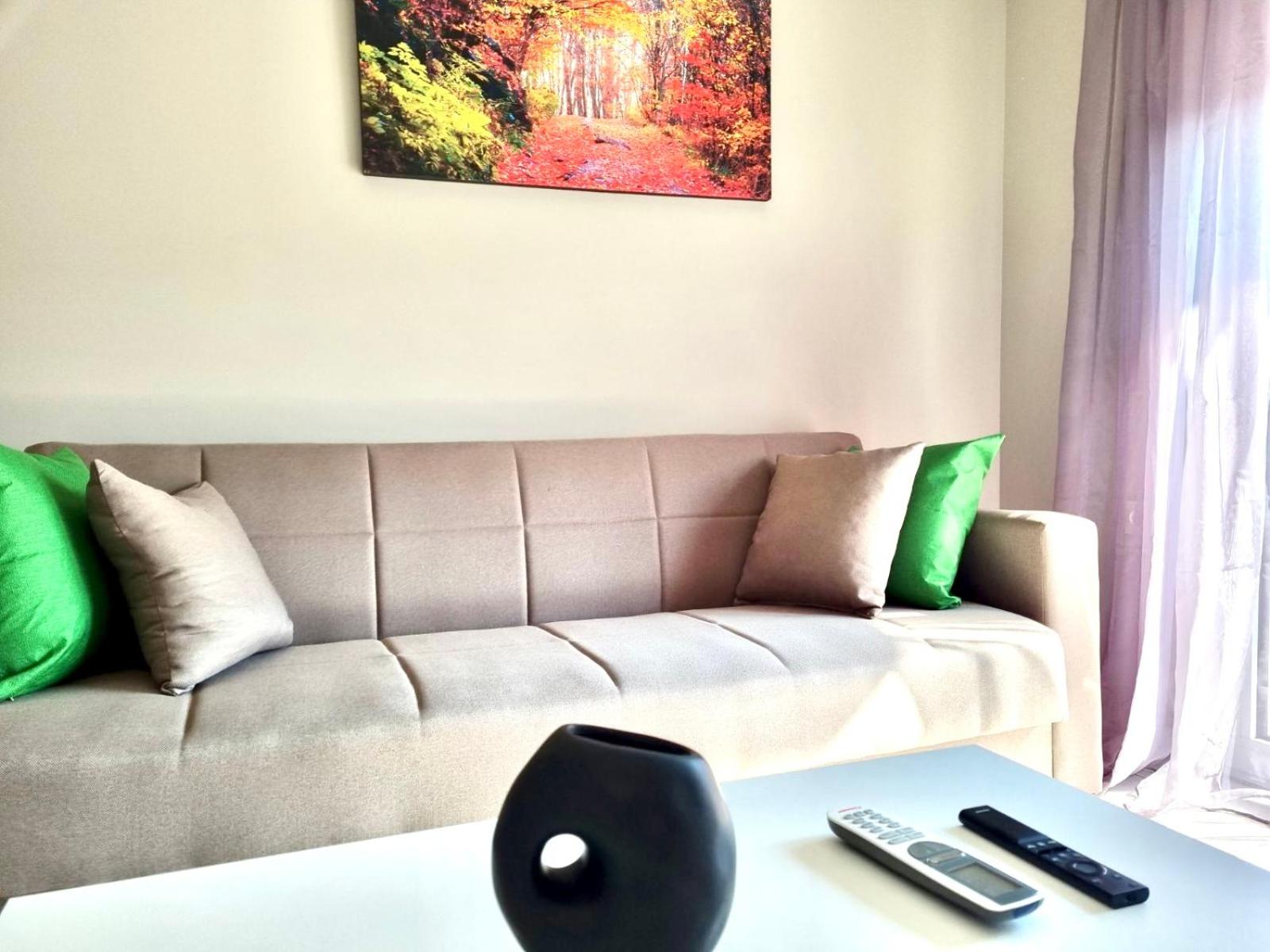 Ioannina city center - Michelangelo Apartments - B1 view 4