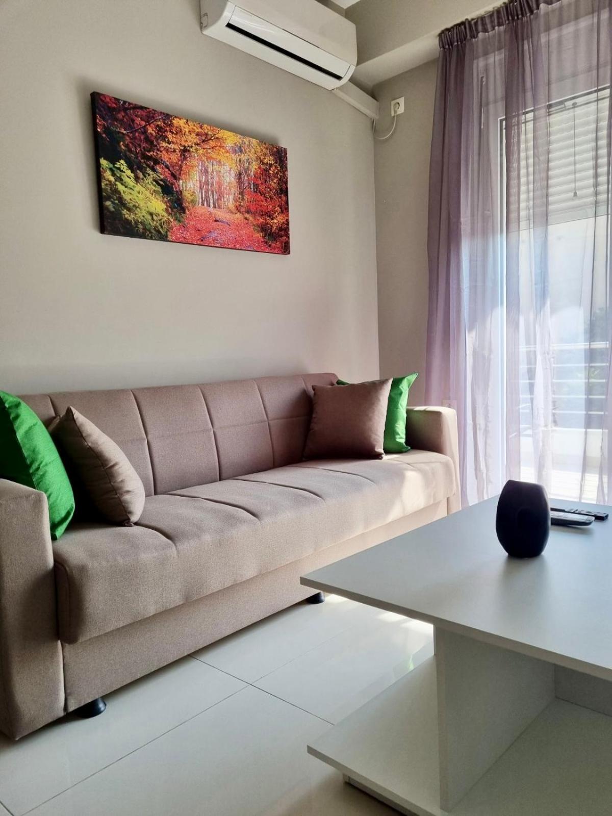 Ioannina city center - Michelangelo Apartments - B1 view 5