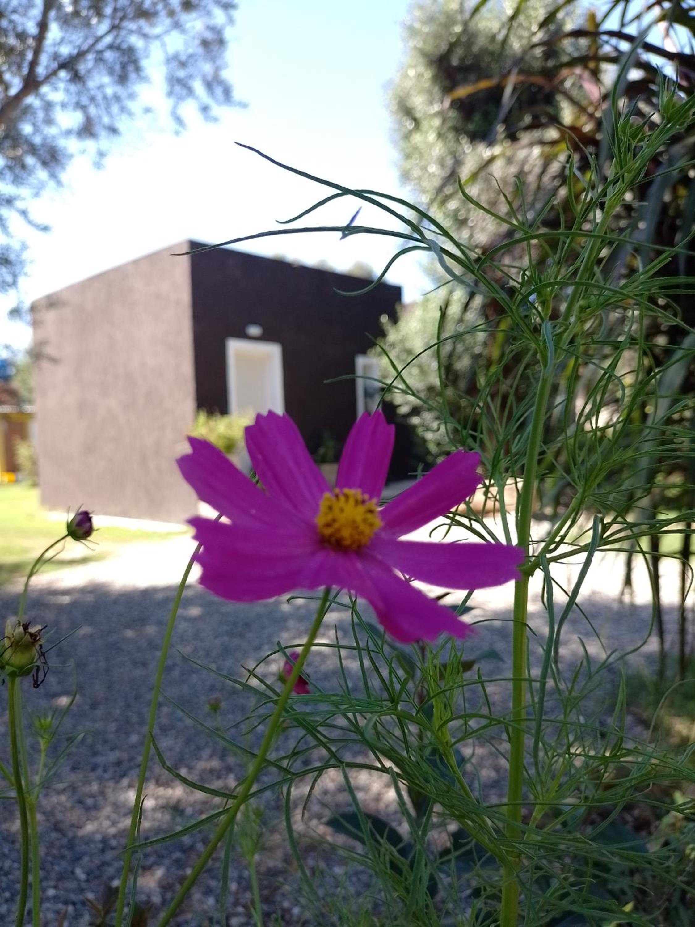 Casa Villa Alba Carpinteria