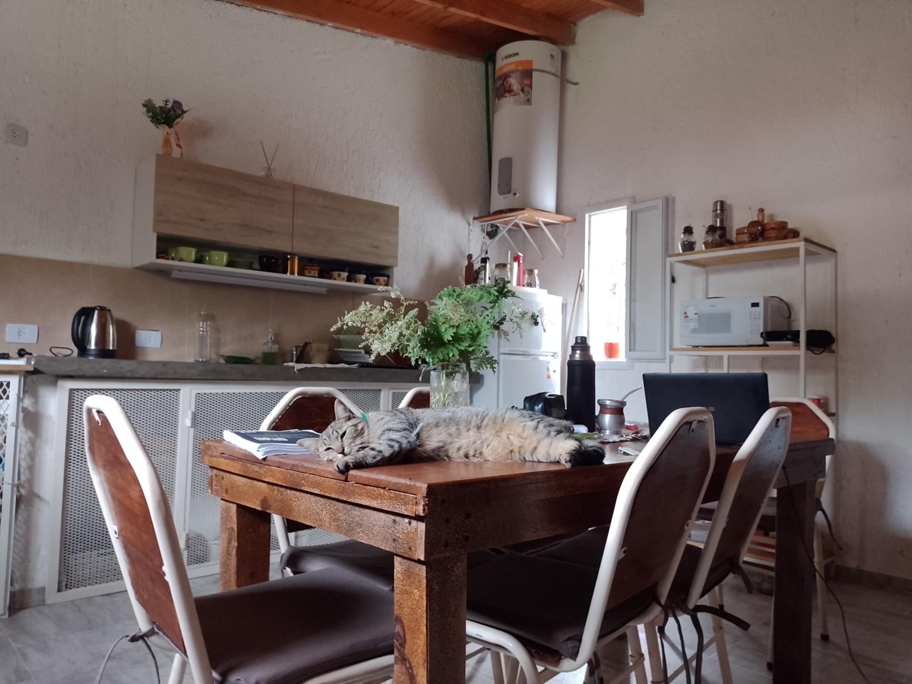 Casa Villa Alba Carpinteria