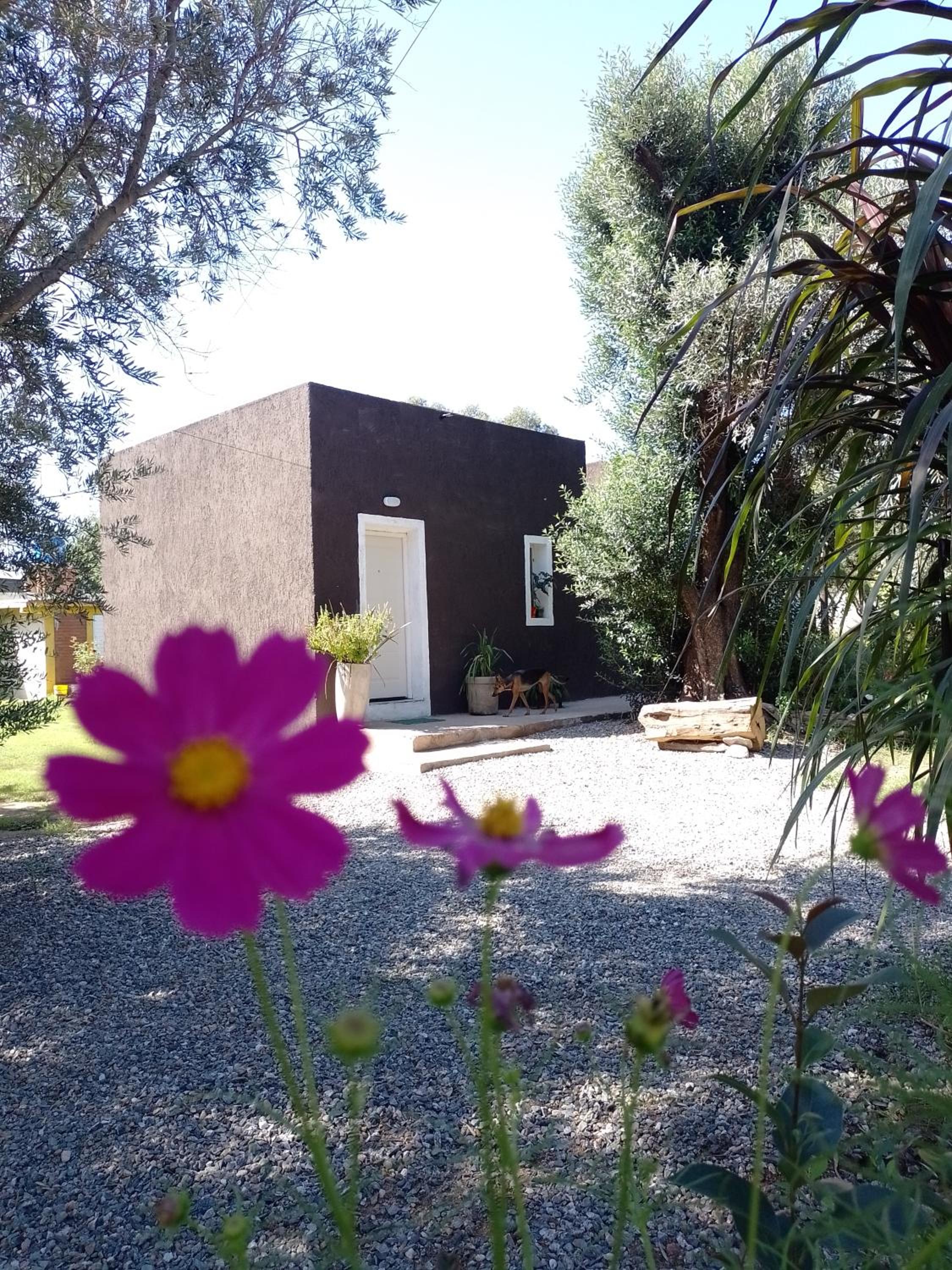 Casa Villa Alba Carpinteria