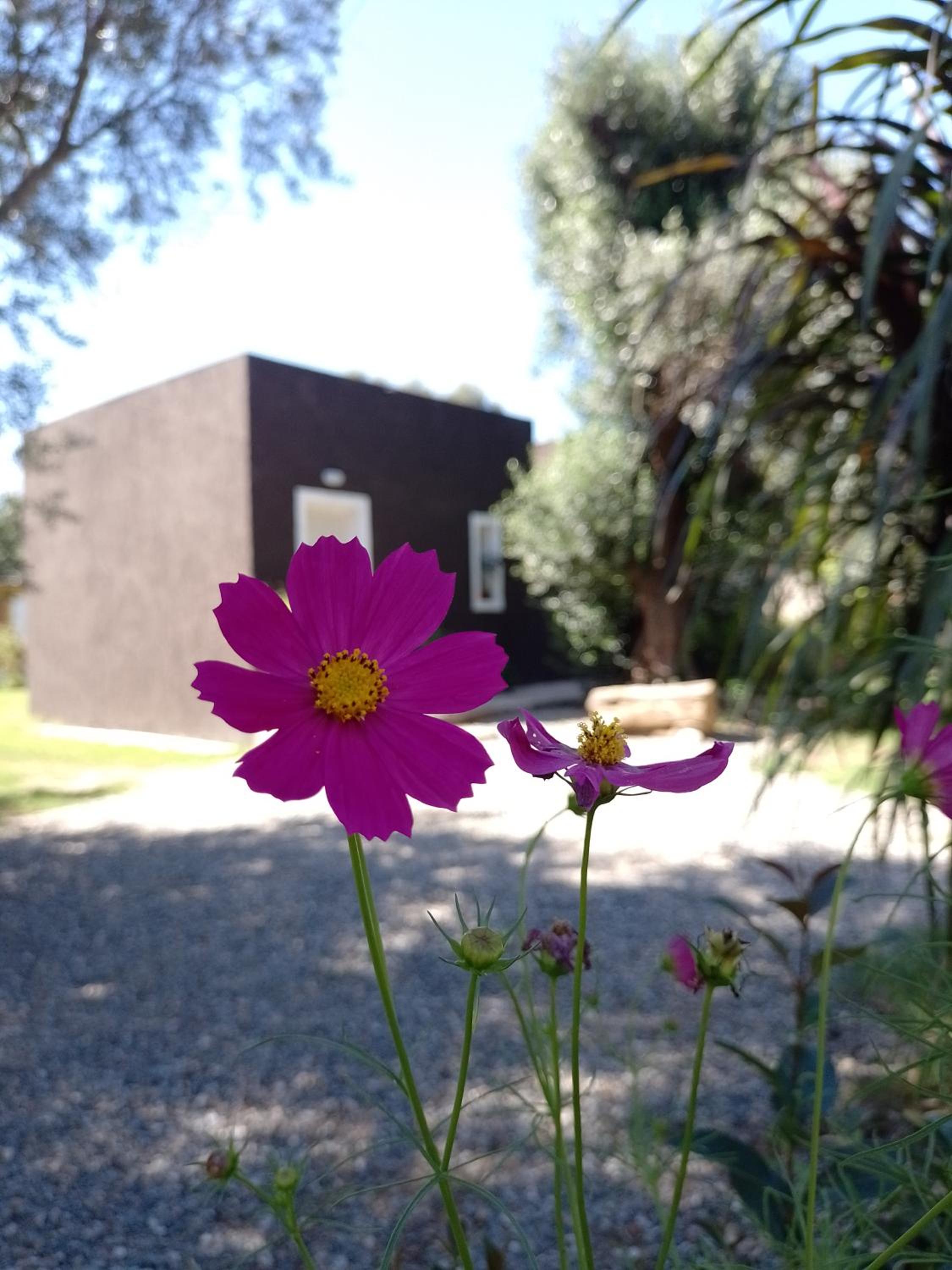 Casa Villa Alba Carpinteria