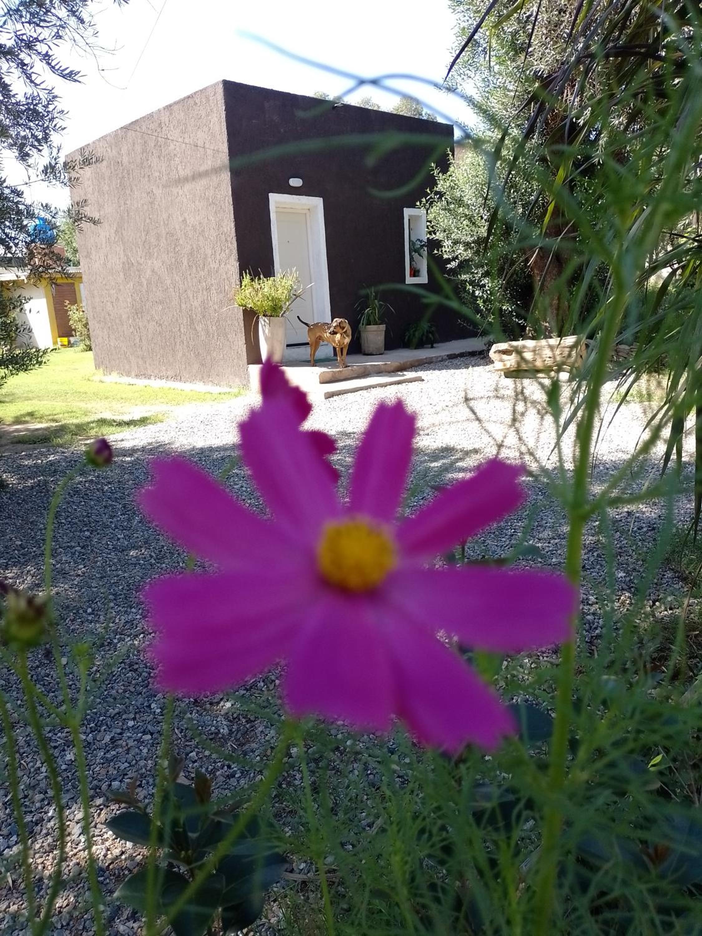 Casa Villa Alba Carpinteria