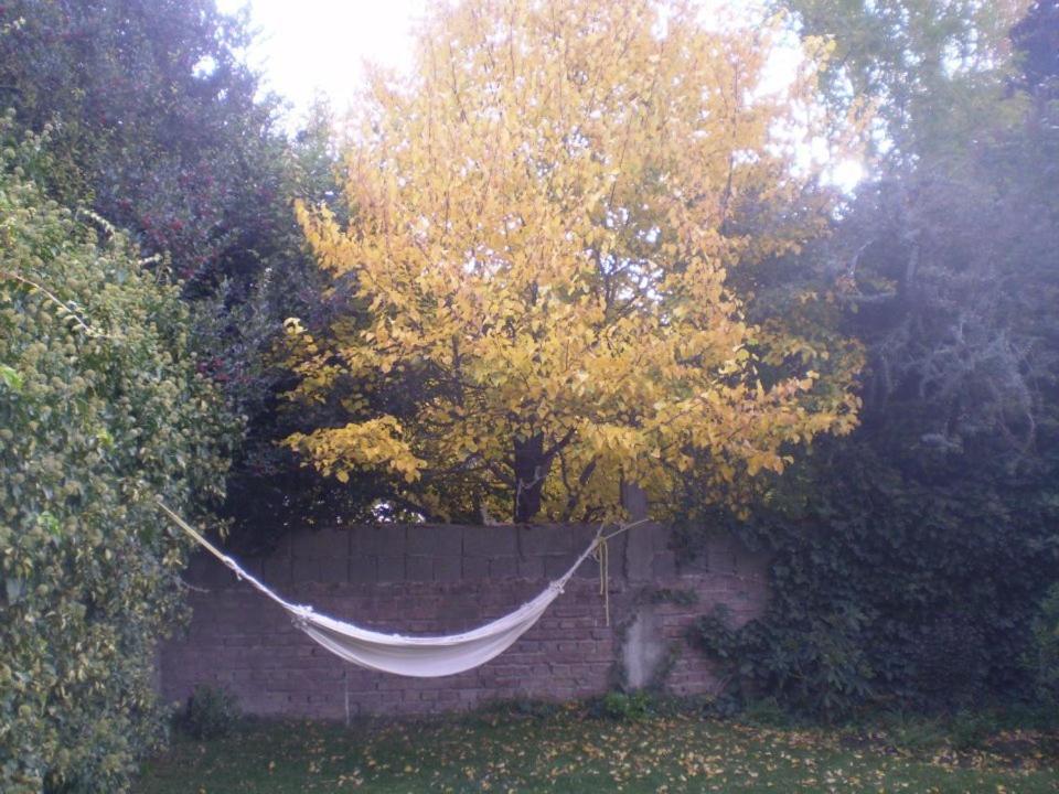 Periko´s Youth Hostel
