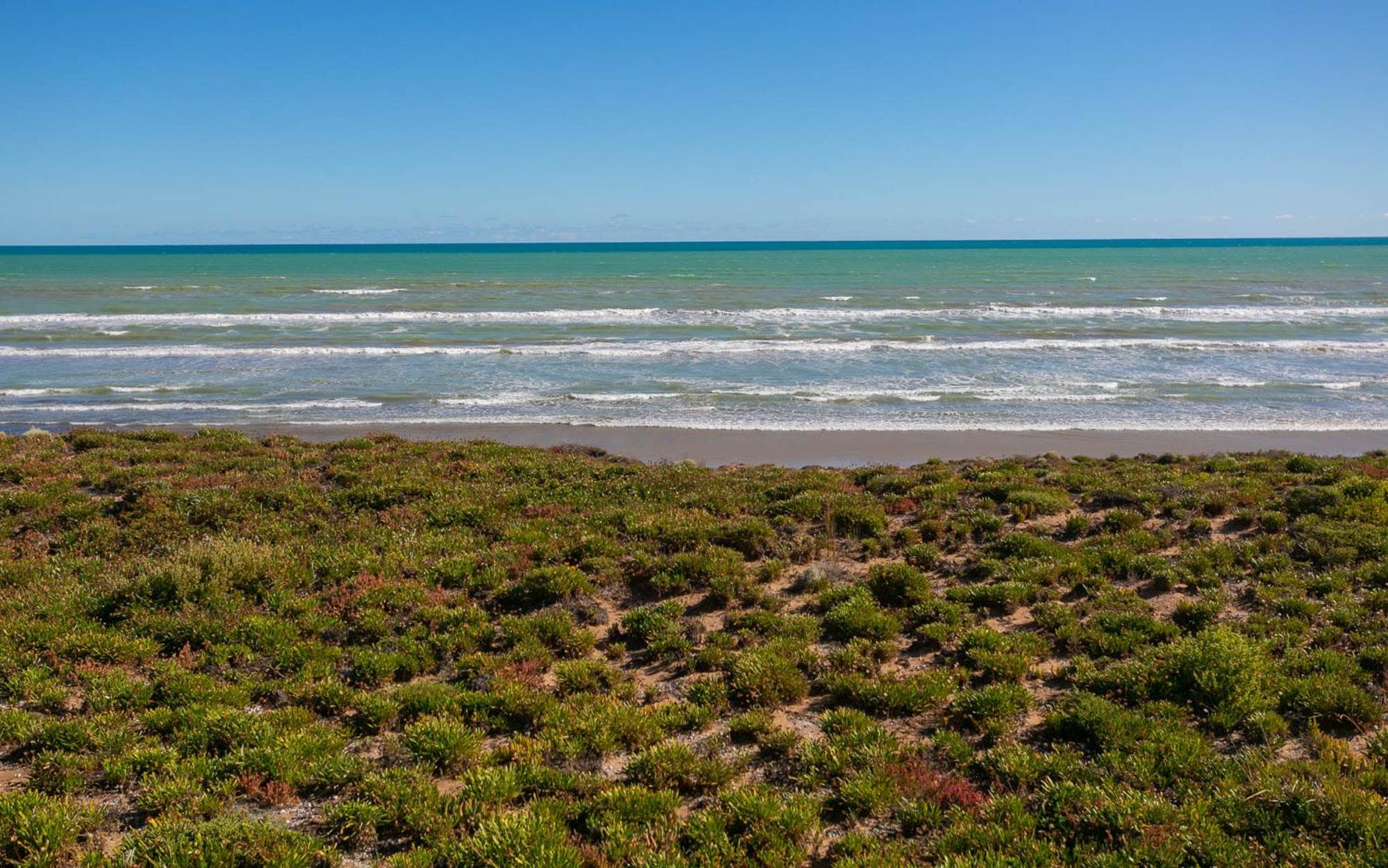 124 Surfers Pde - BYO Linen Beachfront
