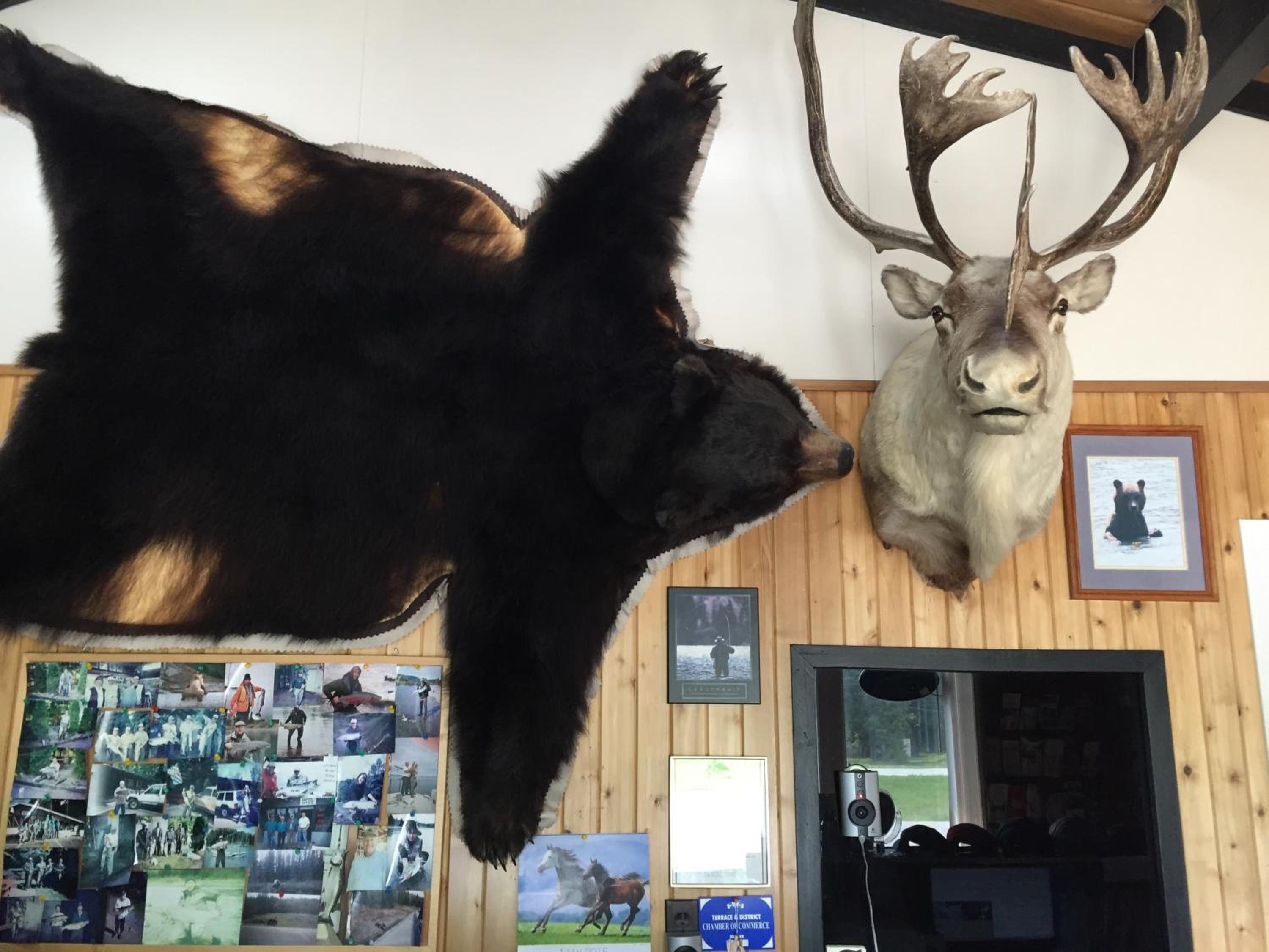 Copper River Motel - Image 5