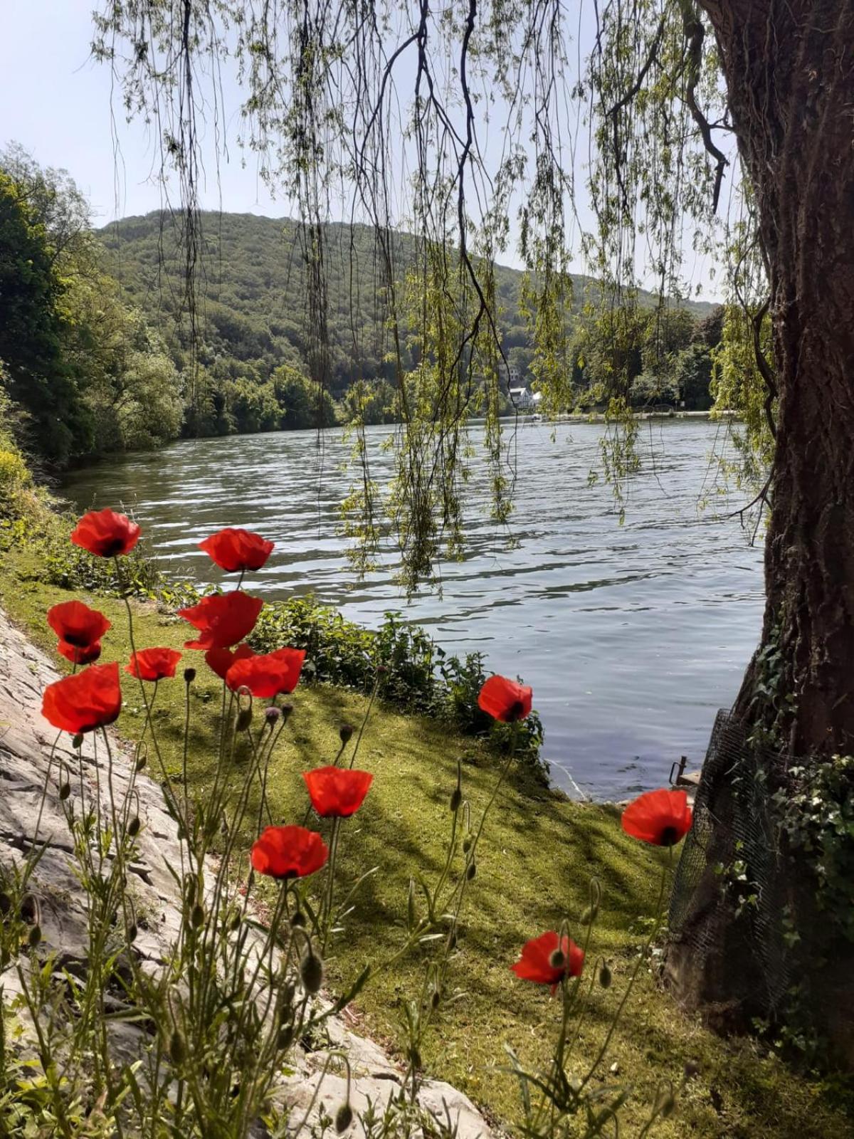 Pieds dans l'eau Private Wellness Bordure de Meuse