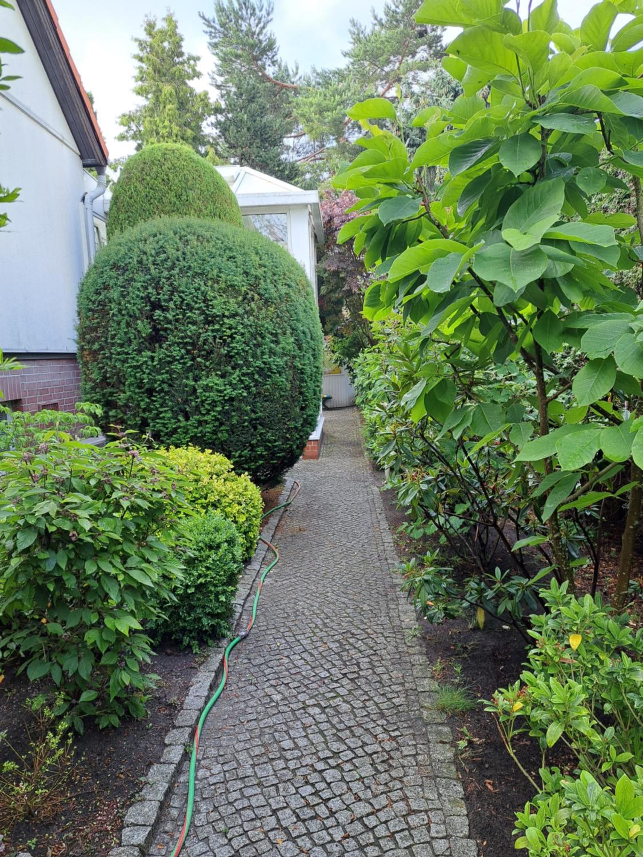 Apartment Kastanienallee Rosenthal photo 3