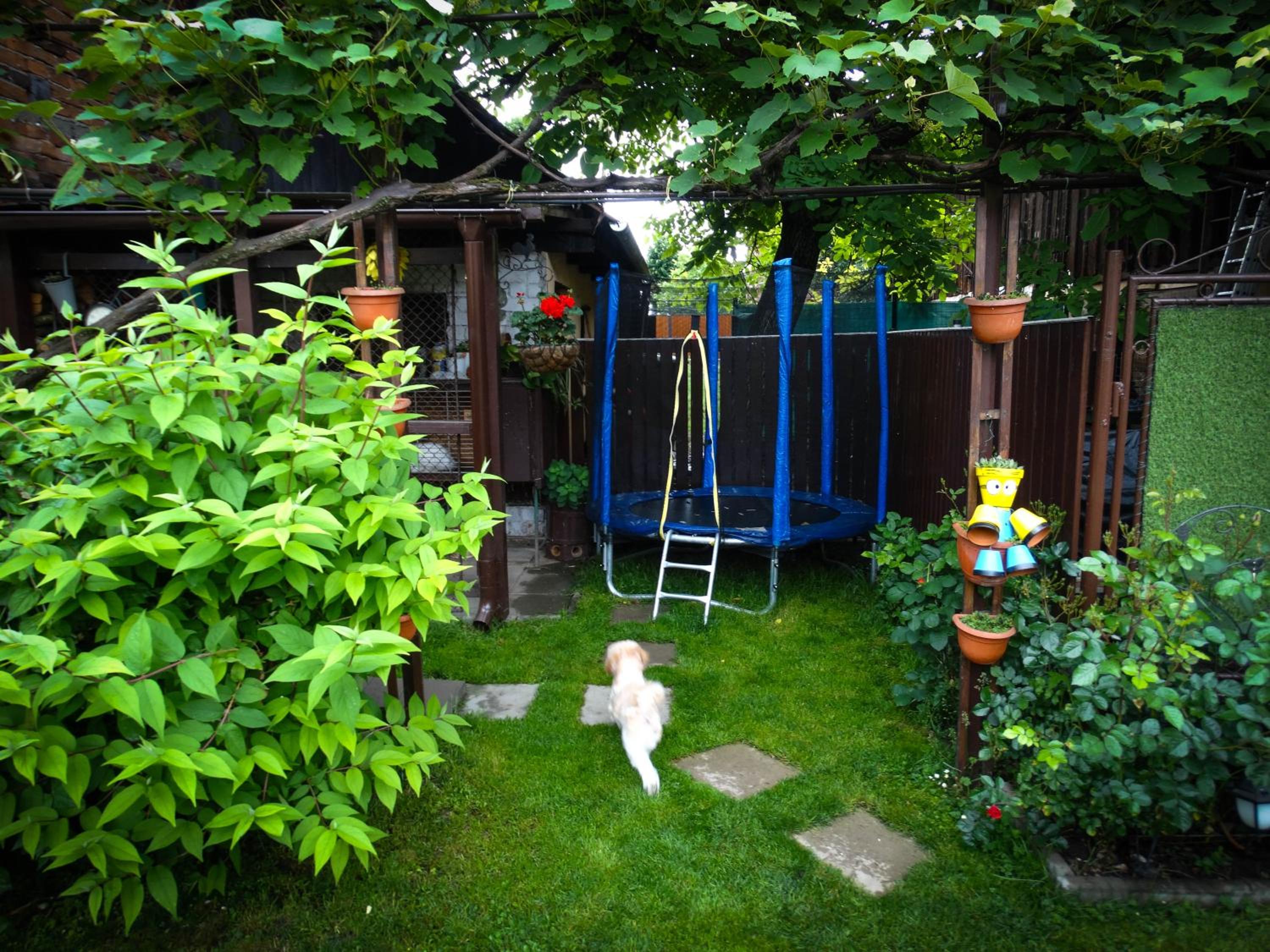 Photo 38