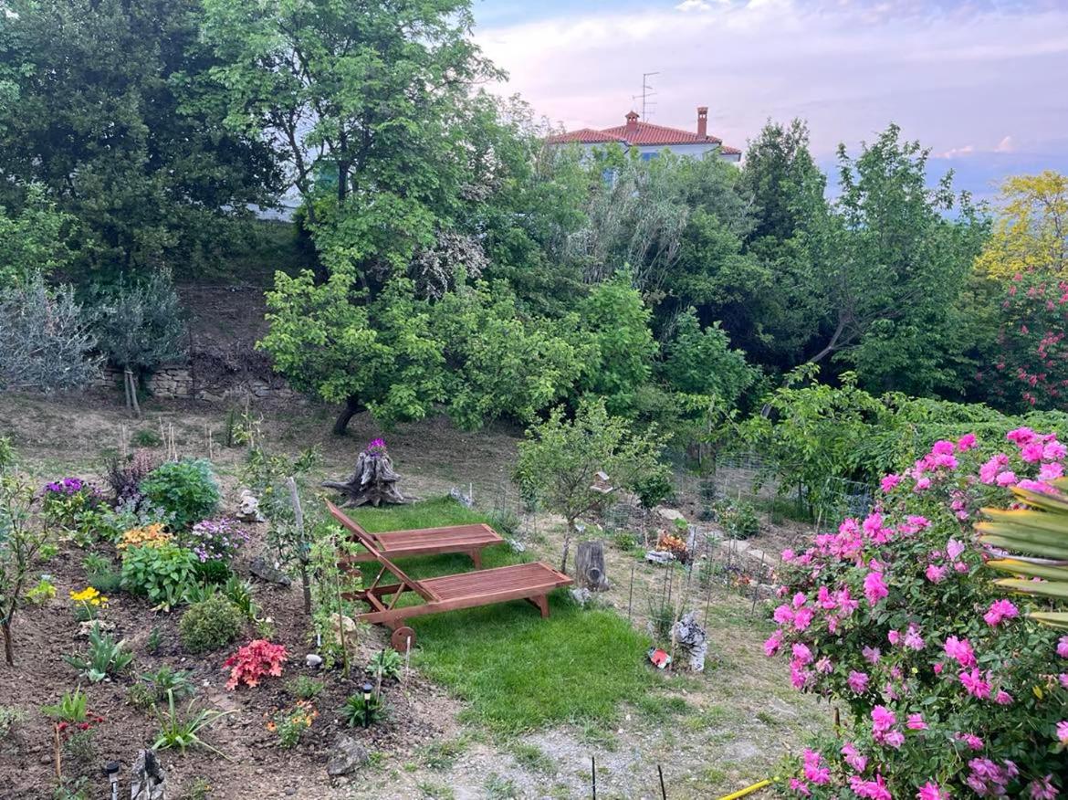 Apartment Vella