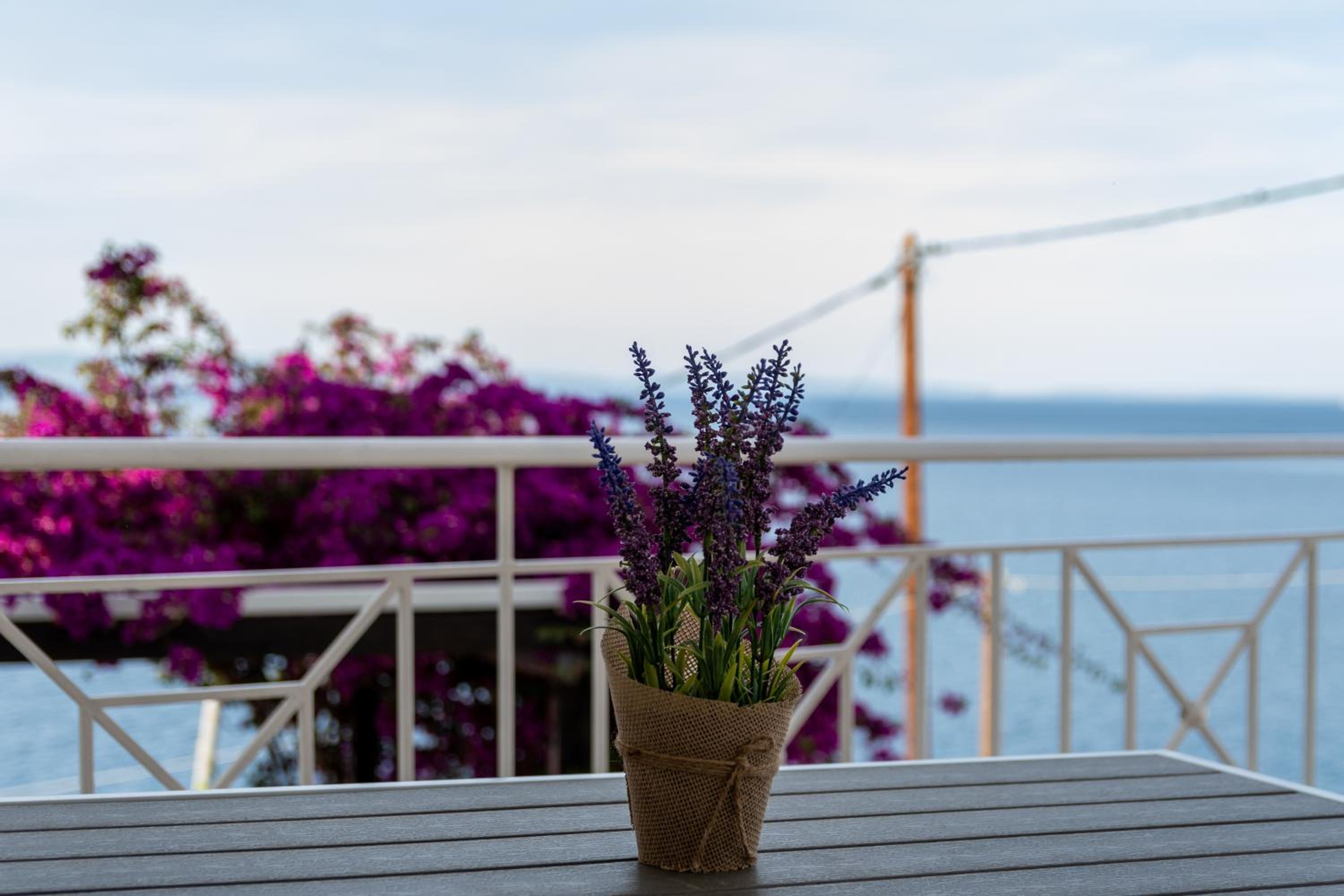 Anesis Seaview apartment 1