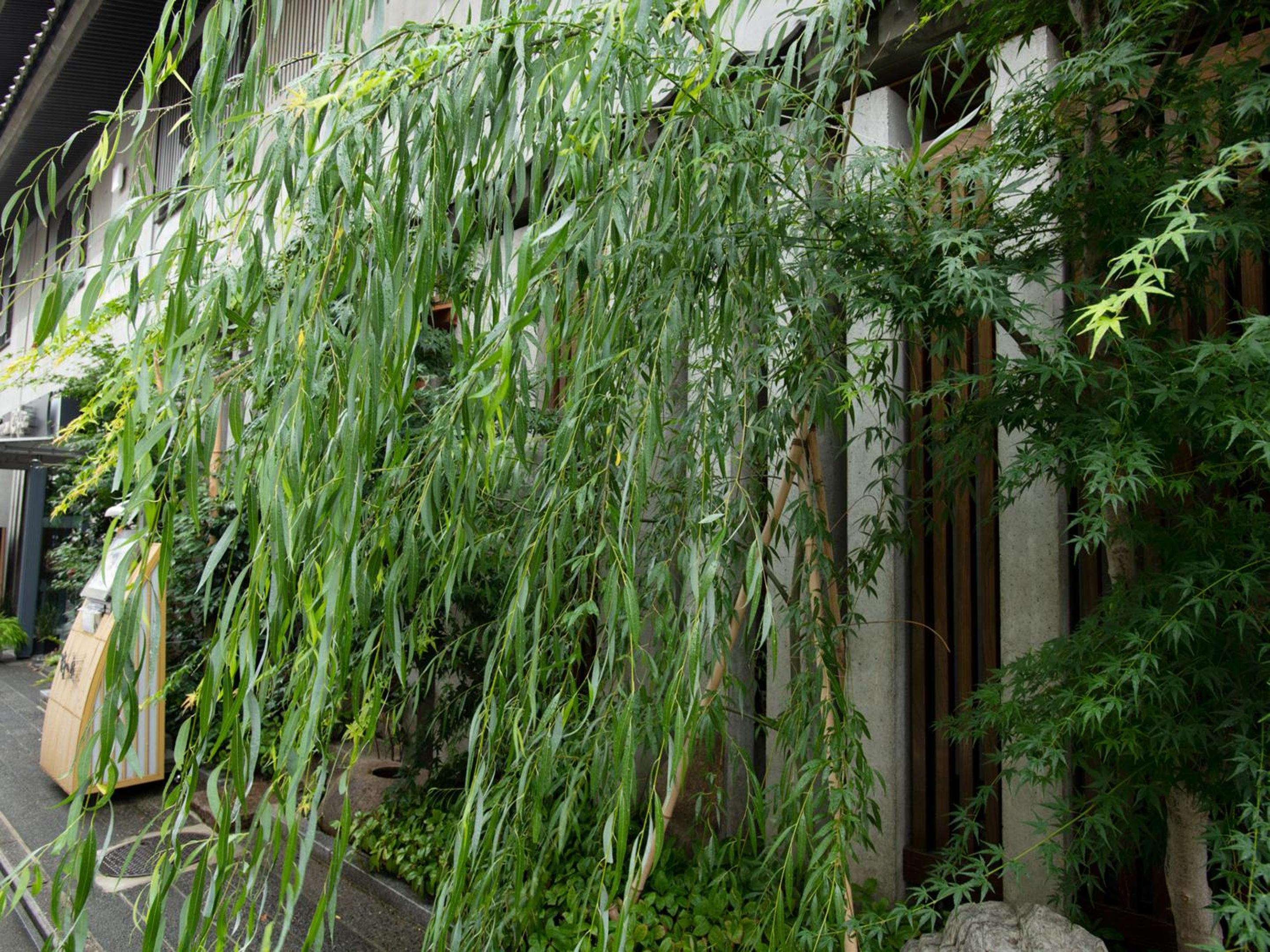 Ryokan Kohro, 写真 8
