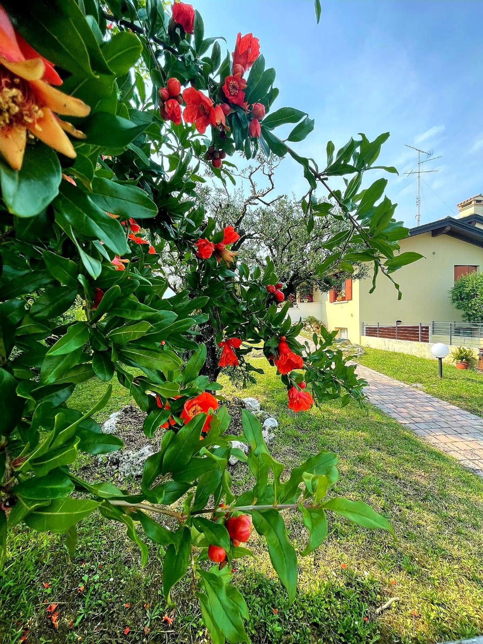 VILLA AMA view 4