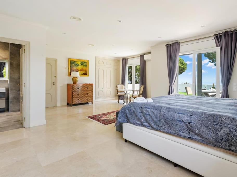 Luxury Villa Buena Vista Pool and Garden