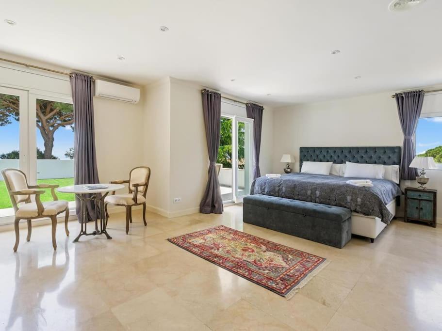 Luxury Villa Buena Vista Pool and Garden