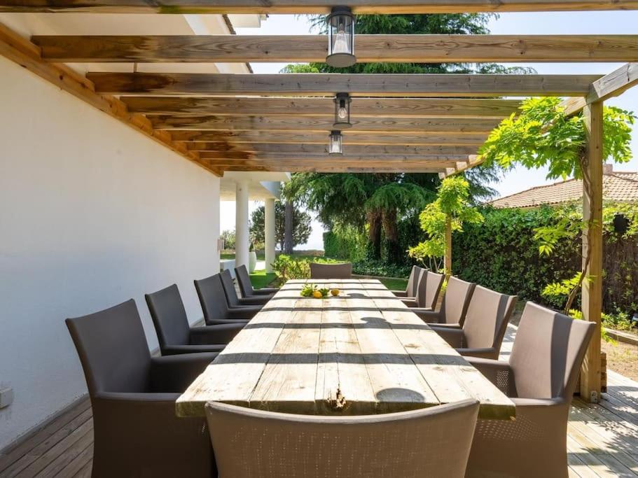 Luxury Villa Buena Vista Pool and Garden
