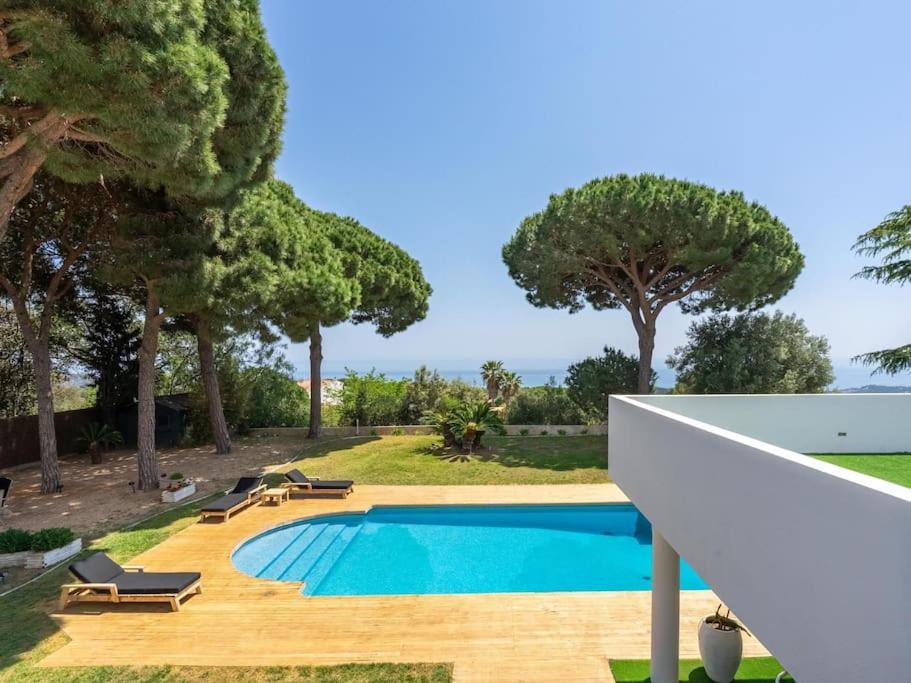 Luxury Villa Buena Vista Pool and Garden