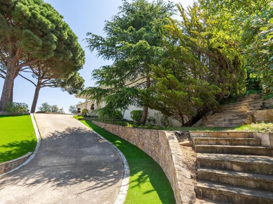 Luxury Villa Buena Vista Pool and Garden