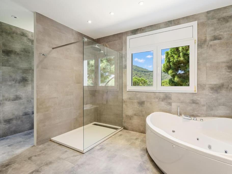 Luxury Villa Buena Vista Pool and Garden