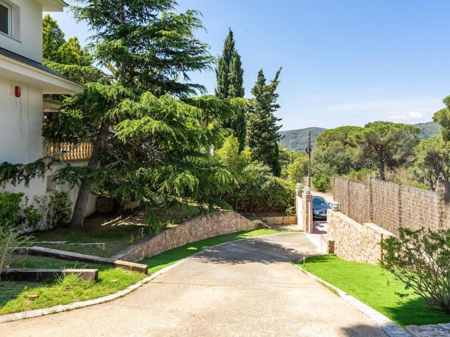 Luxury Villa Buena Vista Pool and Garden