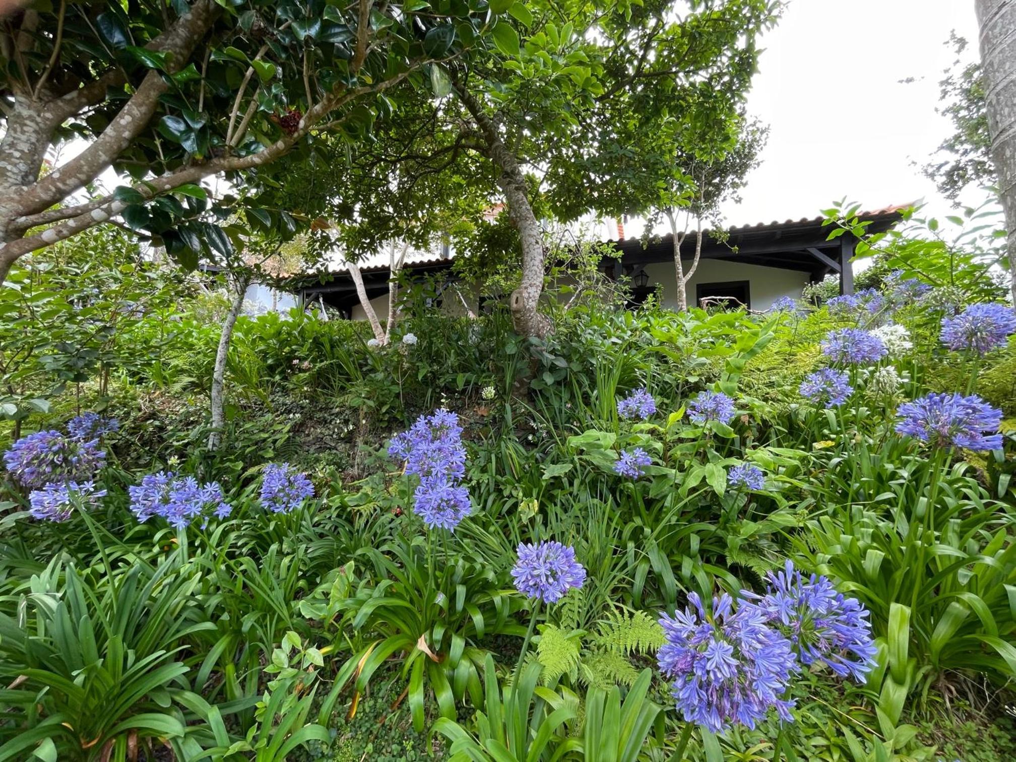 Casas de Campo do Pomar B&B - Self Check-in