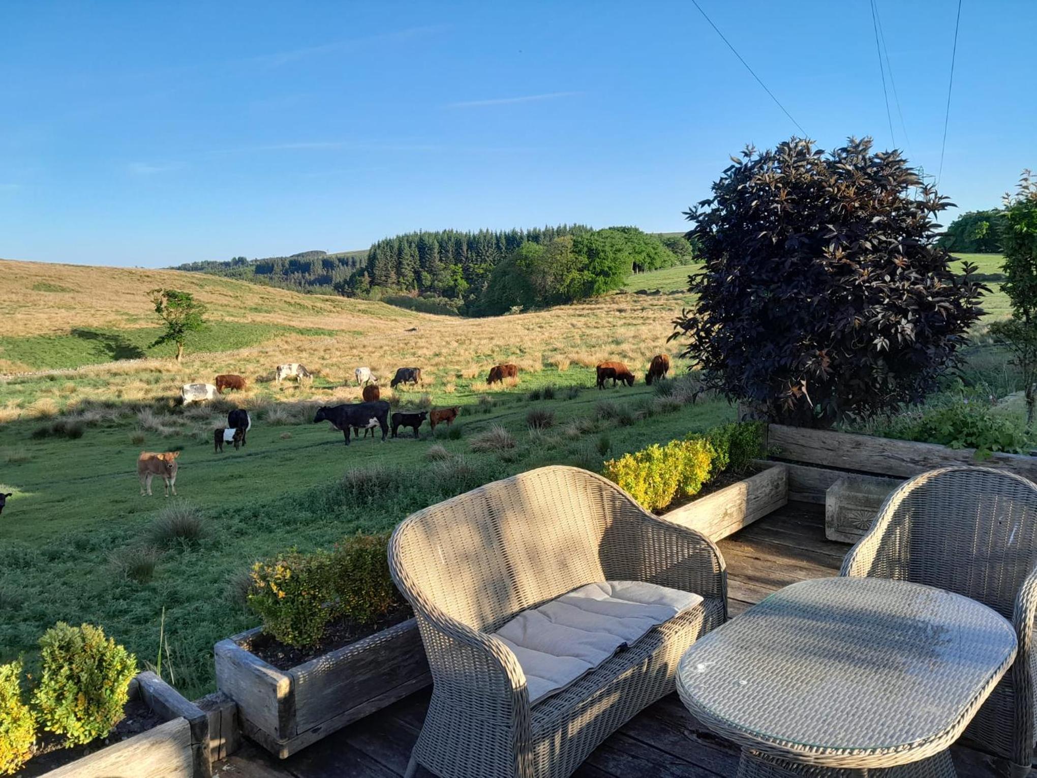 Cadshaw Country Views