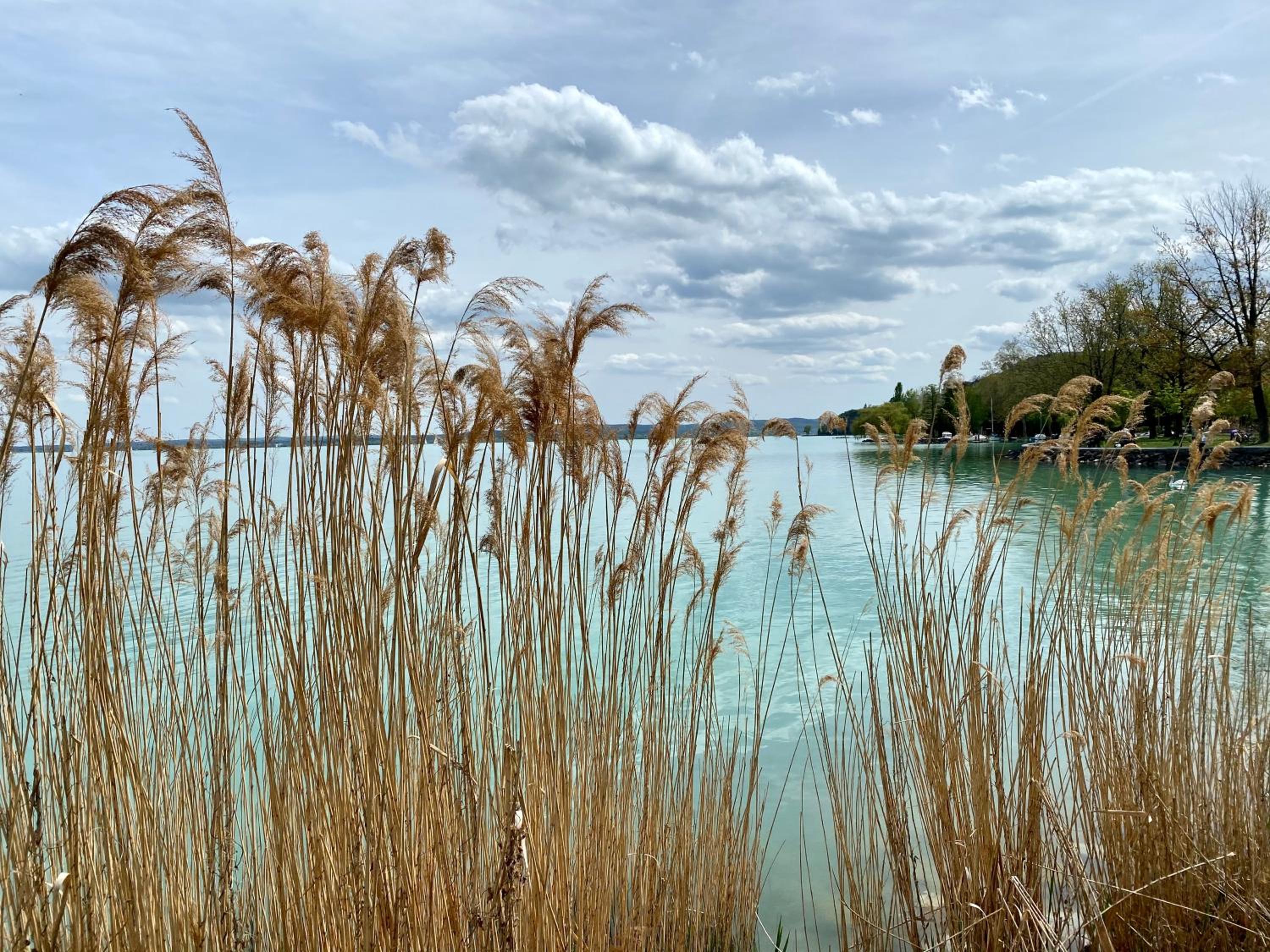 Kékmadaras Vendégház Tihany