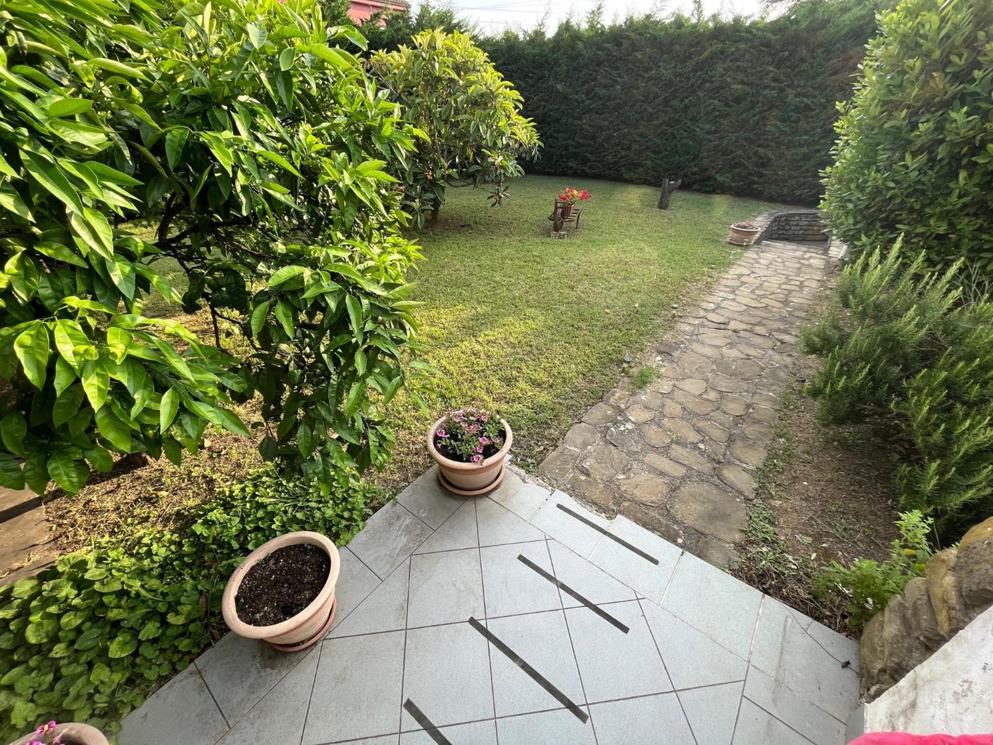 Piko's apartments