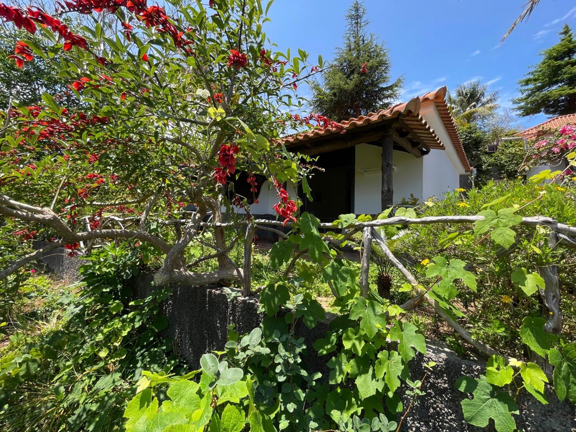 Casas de Campo do Pomar B&B - Self Check-in