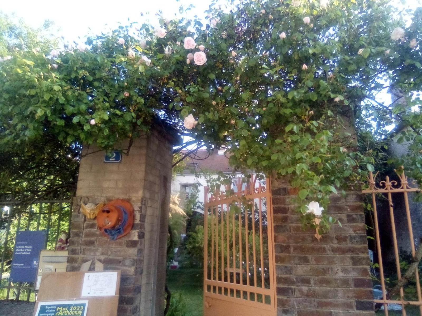 Photo 17