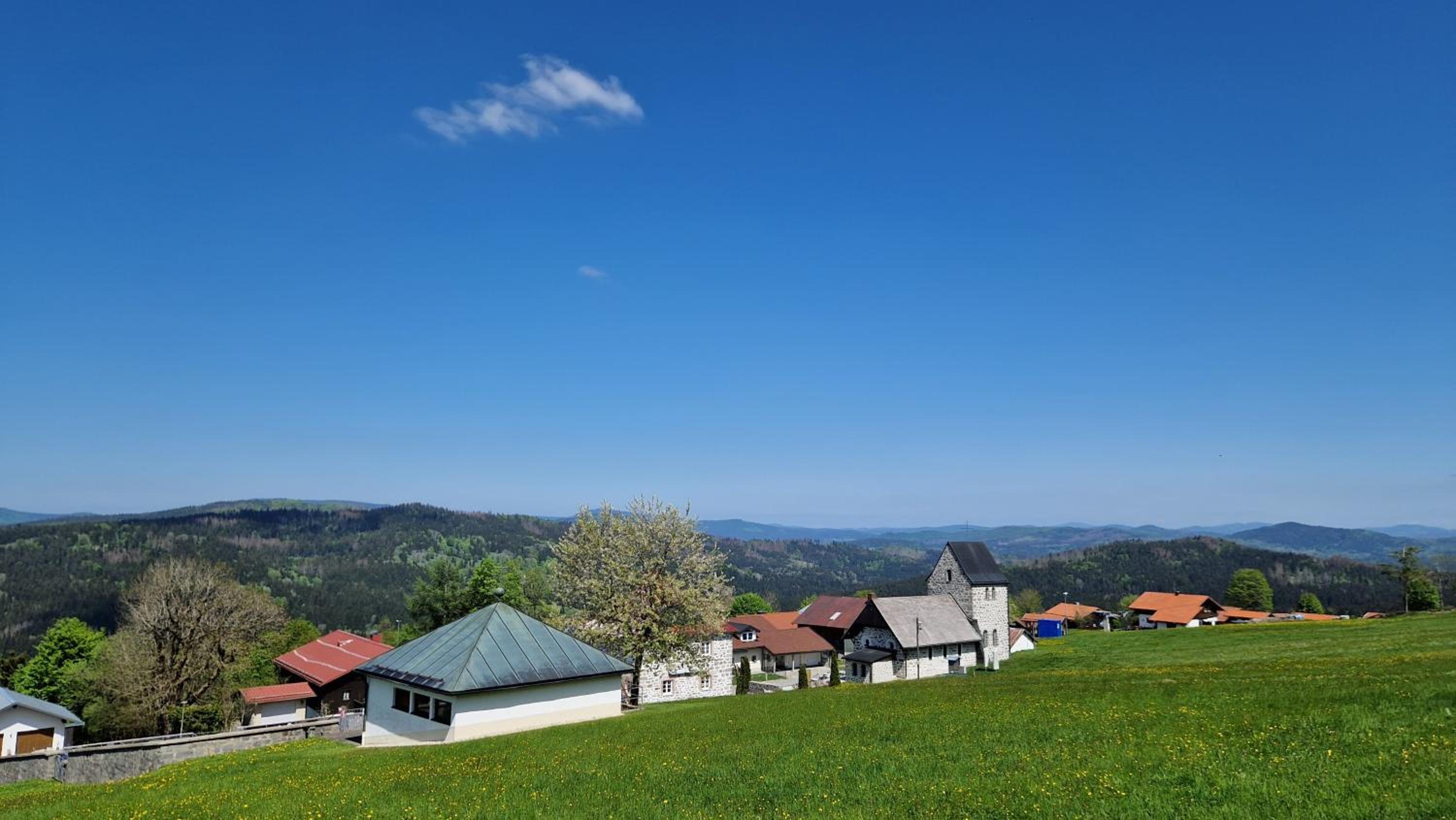 Two Apartaments Almberg - Mitterdorf-Mitterfirmiansreut - Property Image 39