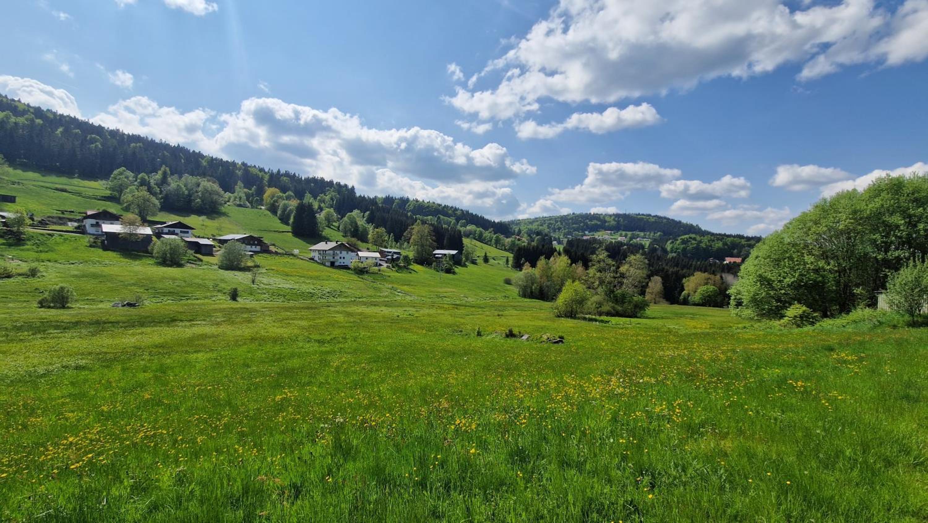 Two Apartaments Almberg - Mitterdorf-Mitterfirmiansreut - Property Image 38