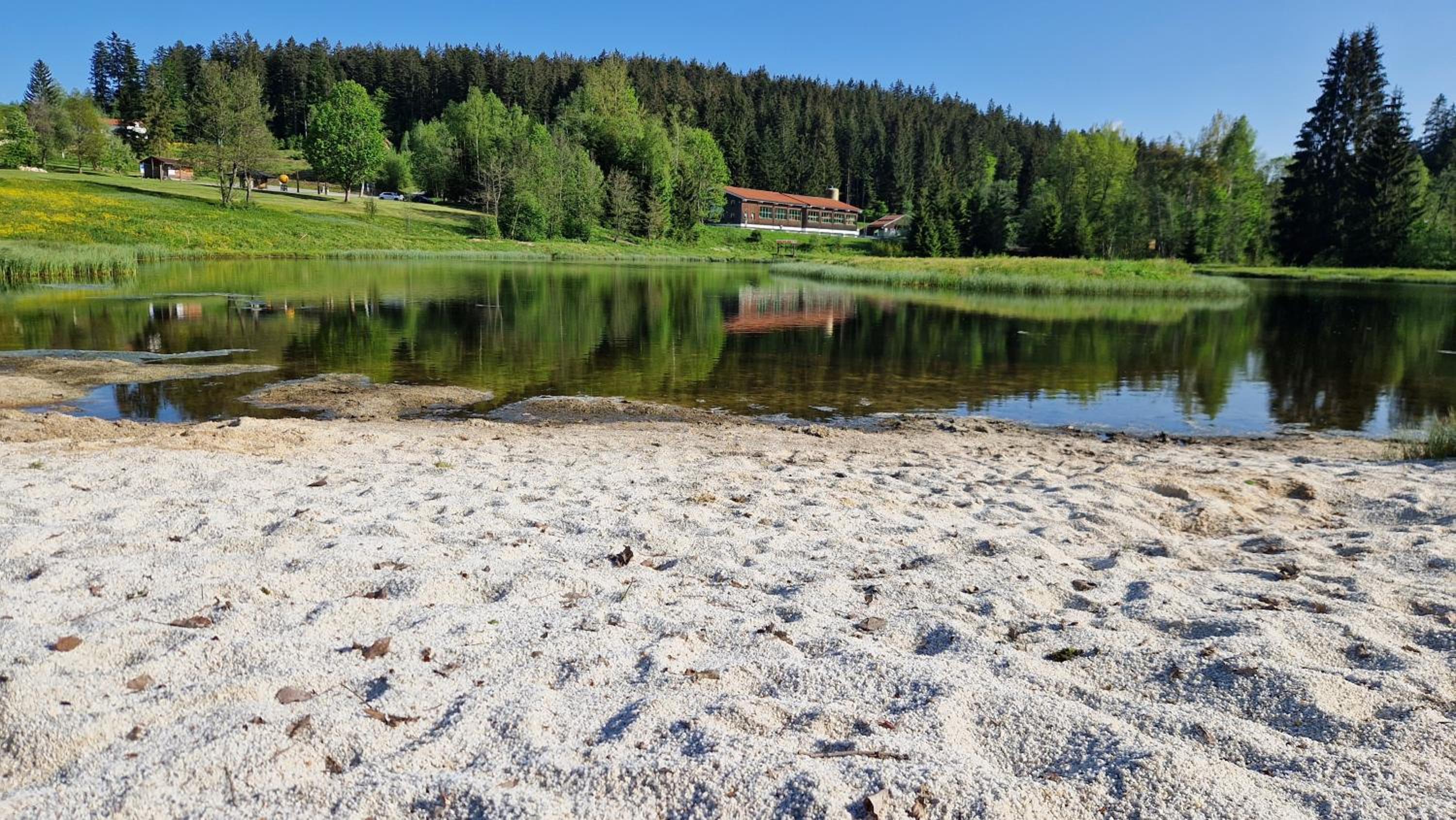 Two Apartaments Almberg - Mitterdorf-Mitterfirmiansreut - Property Image 47