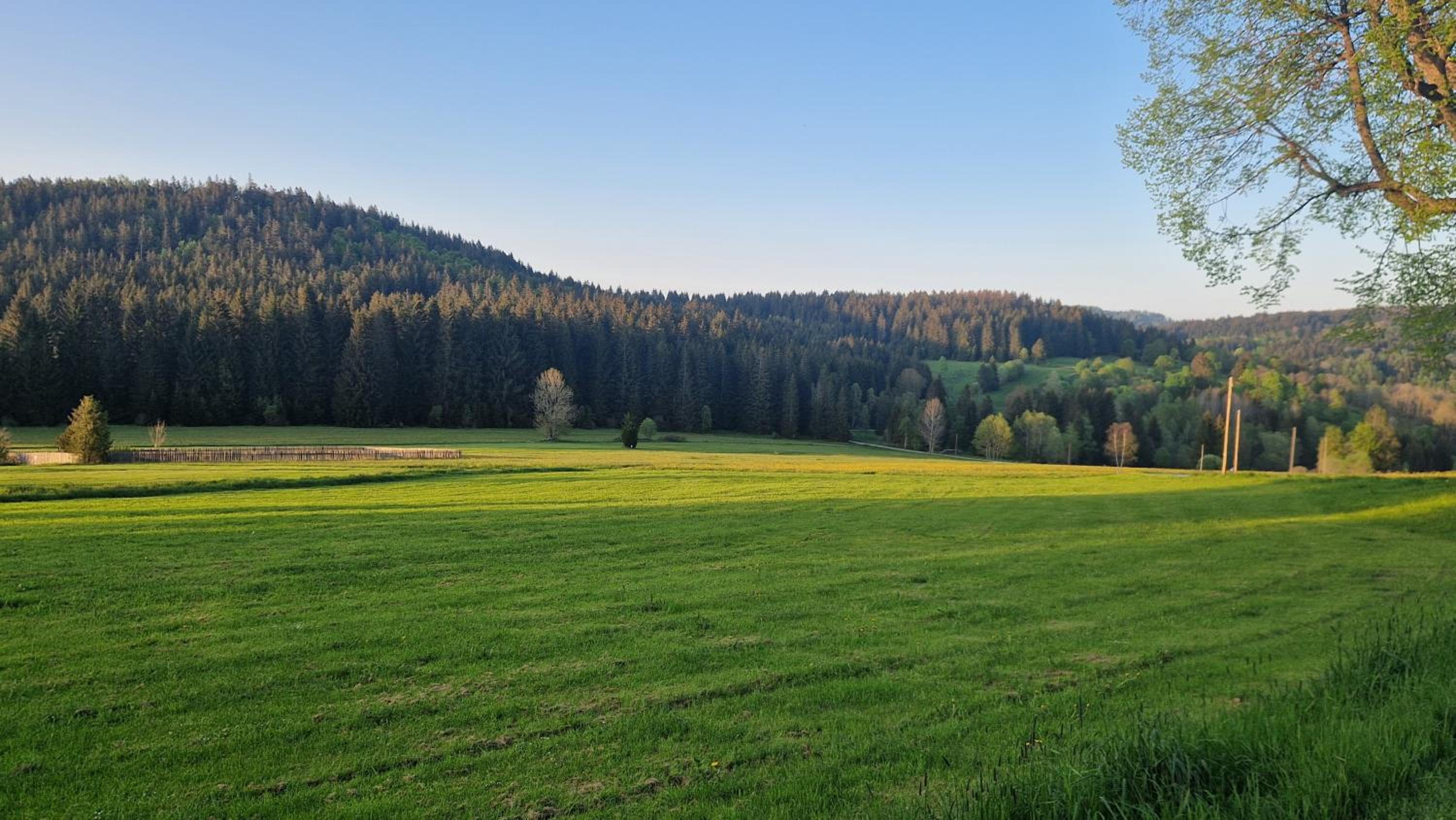 Two Apartaments Almberg - Mitterdorf-Mitterfirmiansreut - Property Image 43